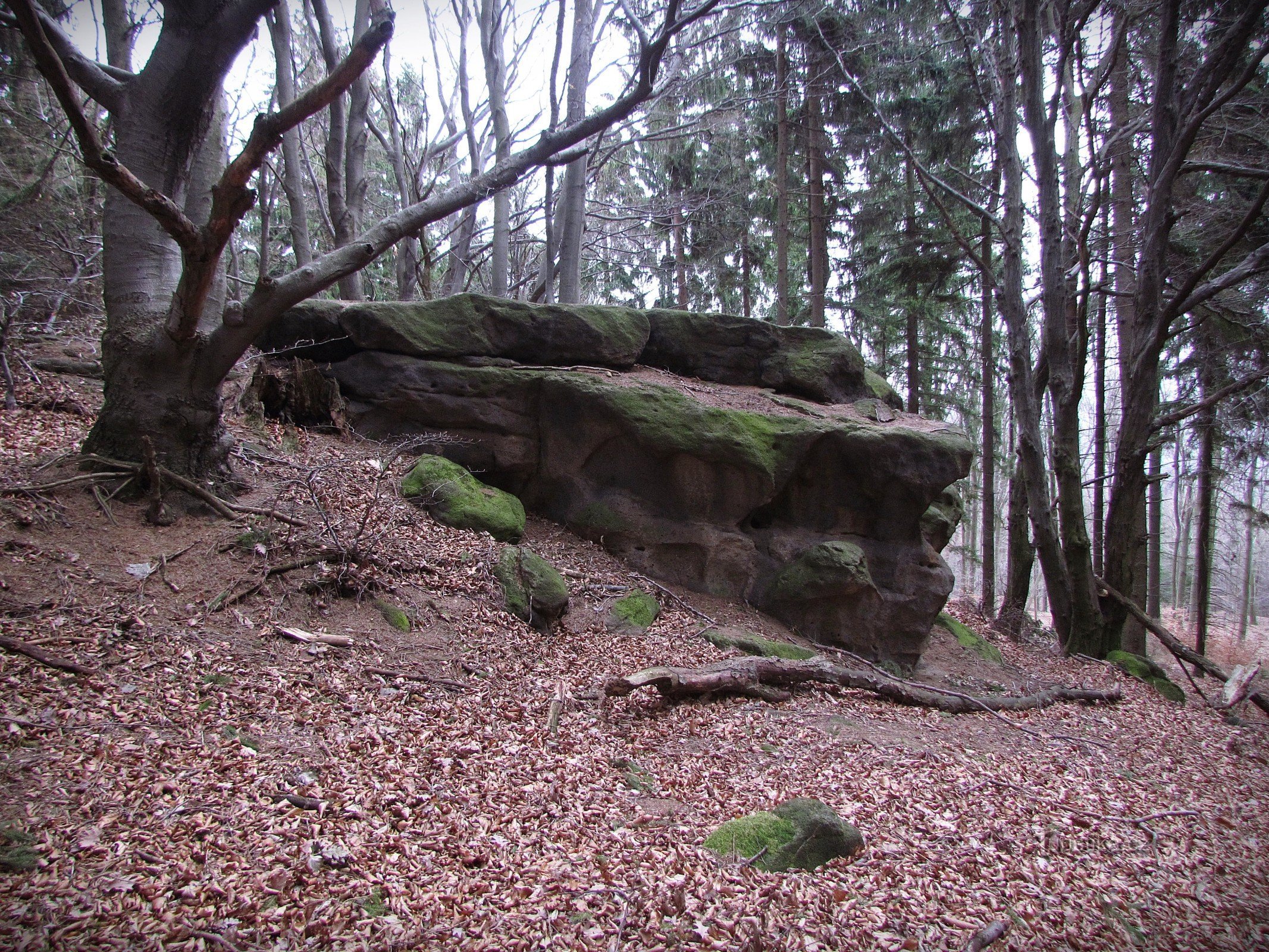 Chřiby - Malé brdo