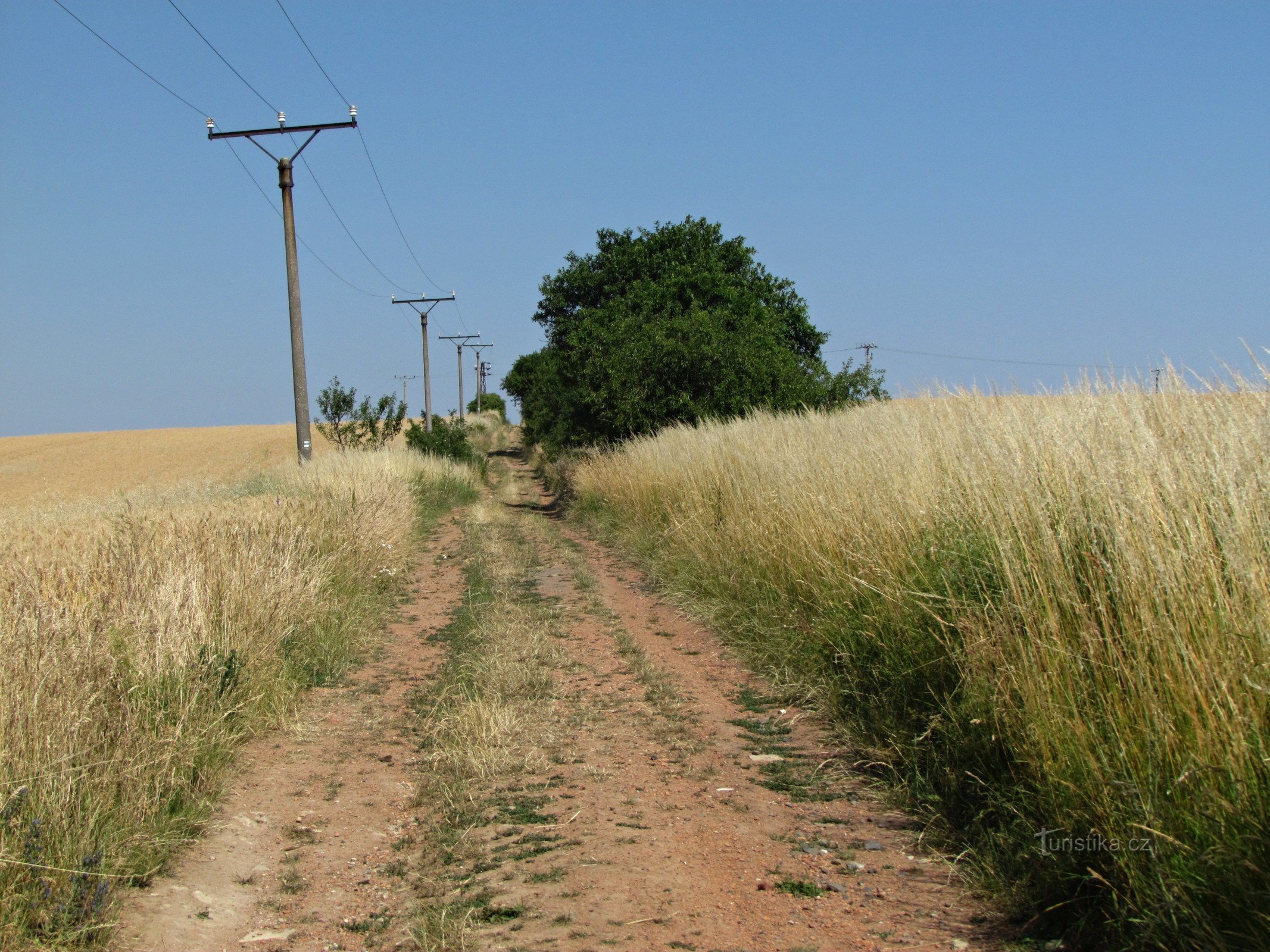 Cantera de Chřiby - Medlovický