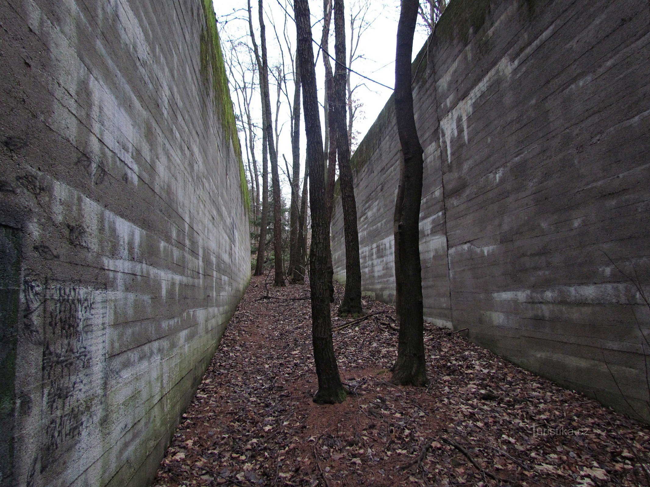 Chřiby - the unfinished bridge of the Bať highway