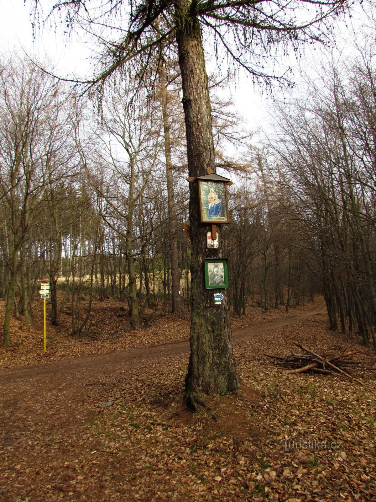 Chřiby - lugar de descanso cerca del Cuadro Verde