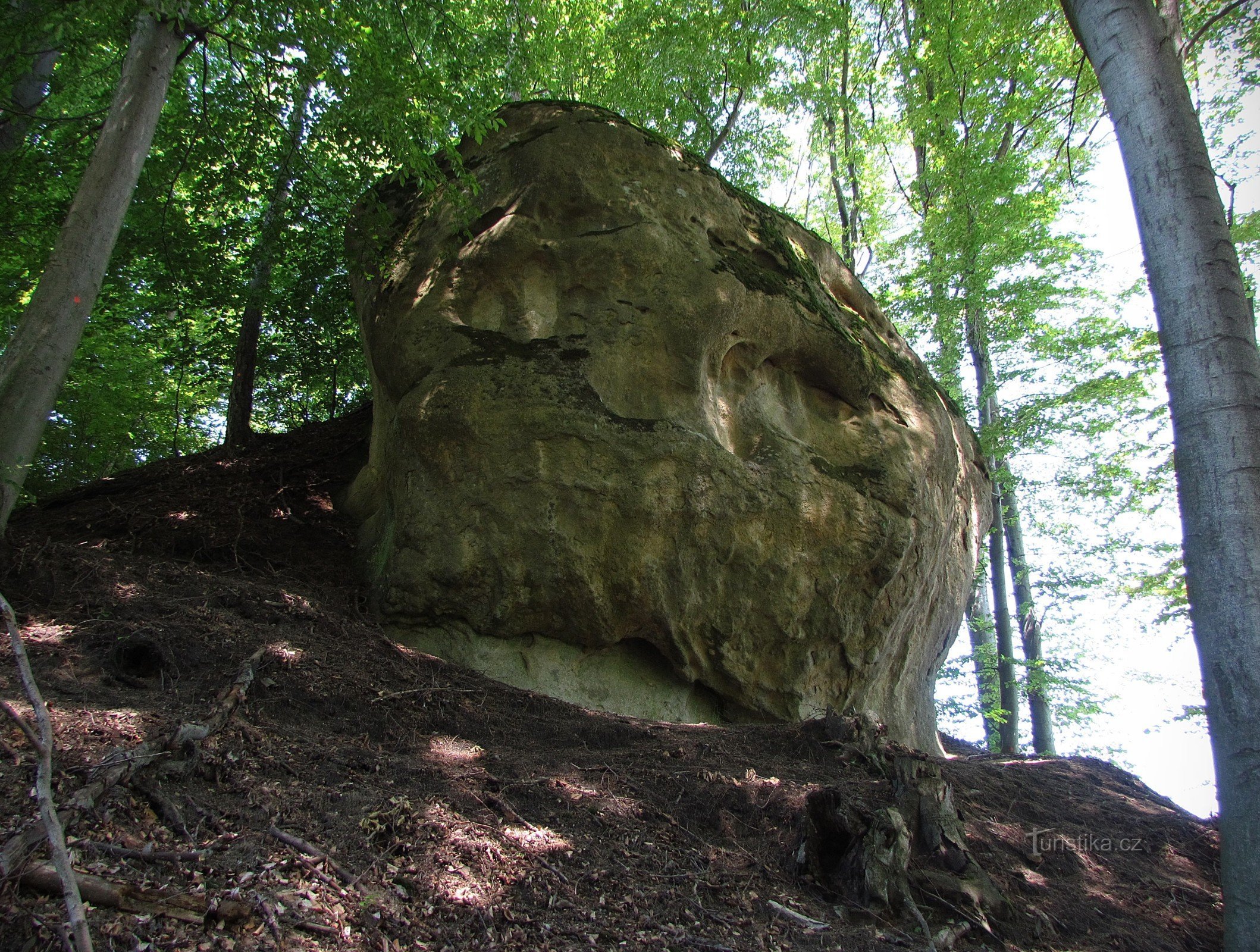 Chřiby - Ovčácká skála