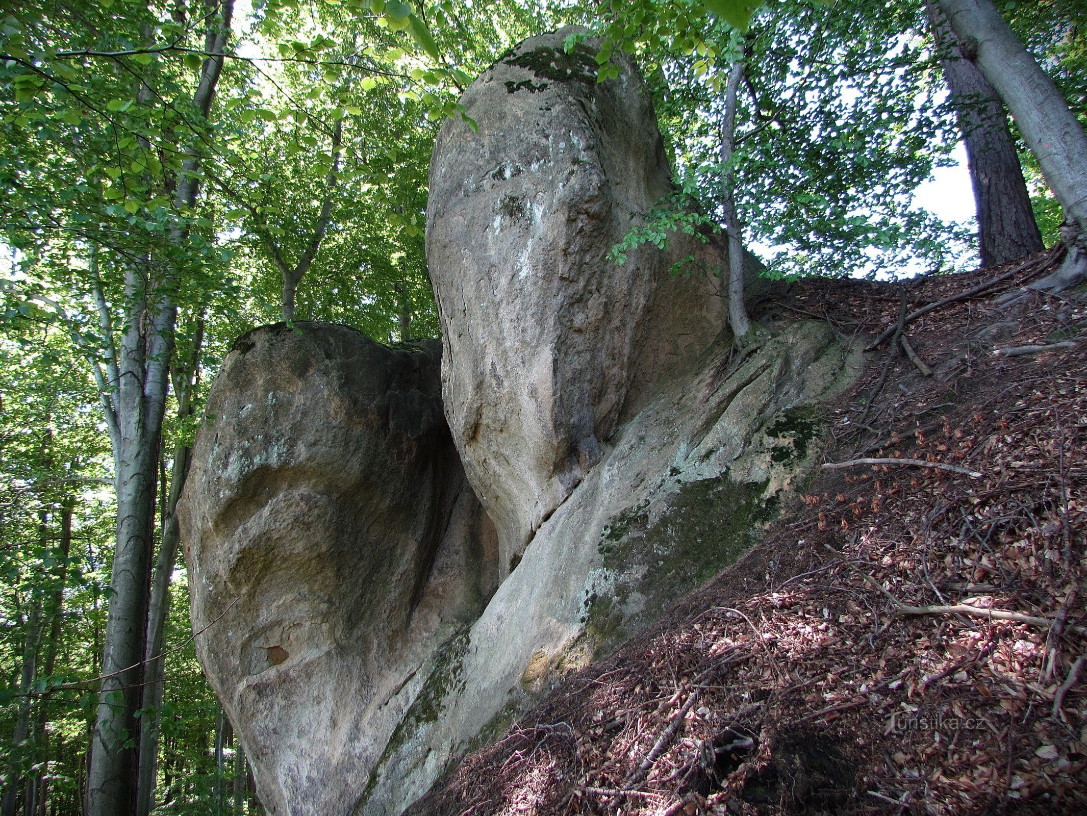 Chřiby - Ovcácká skála