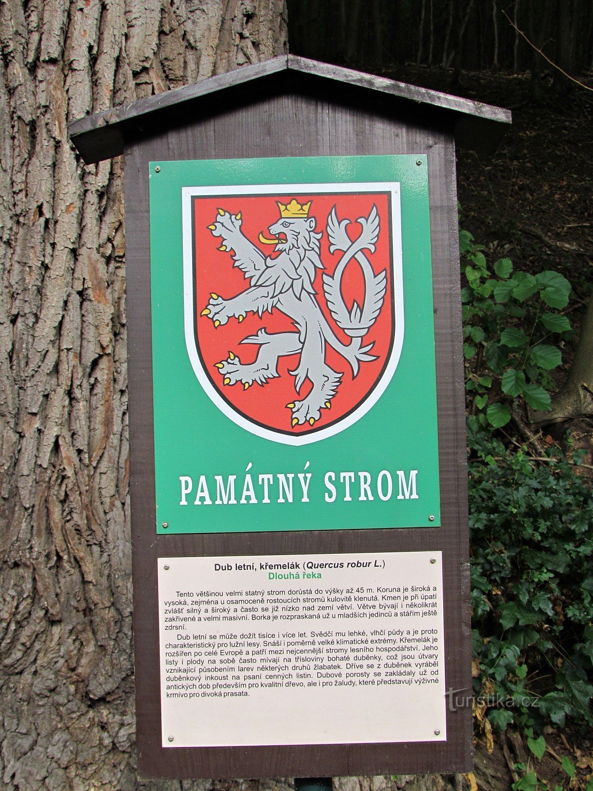 Chřiby - memorial trees at the U Zabitého monument