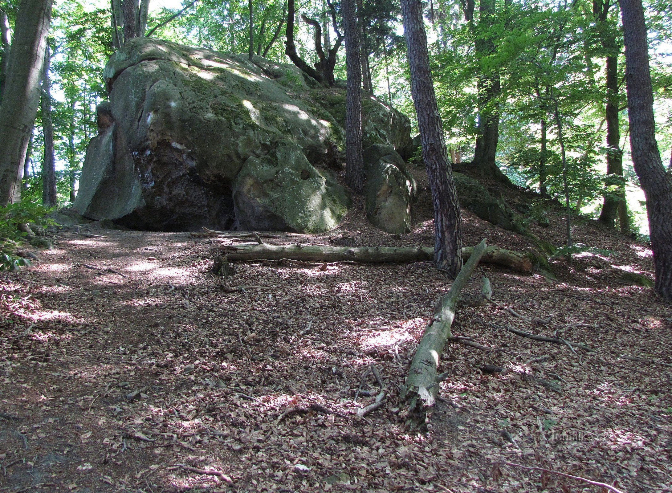 Chřiby - stijena Pečín