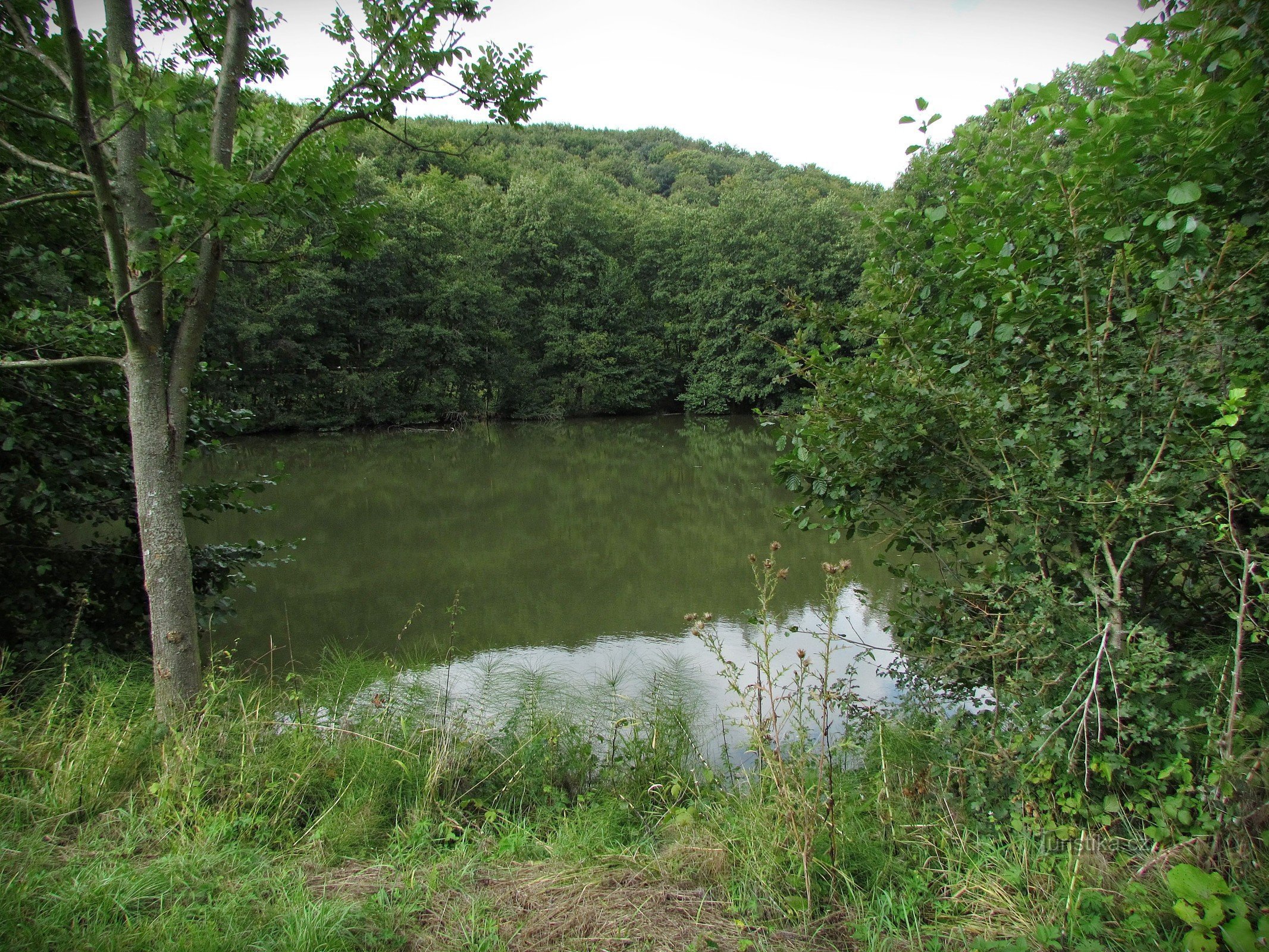 Chřiby - Na Pile dam