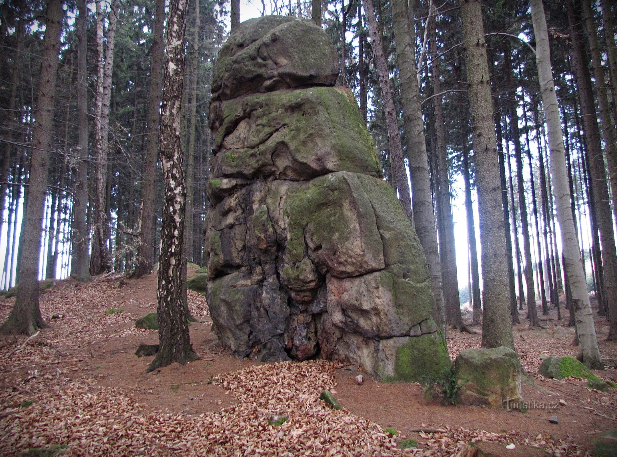 Chřiby - skala Malý Kozel