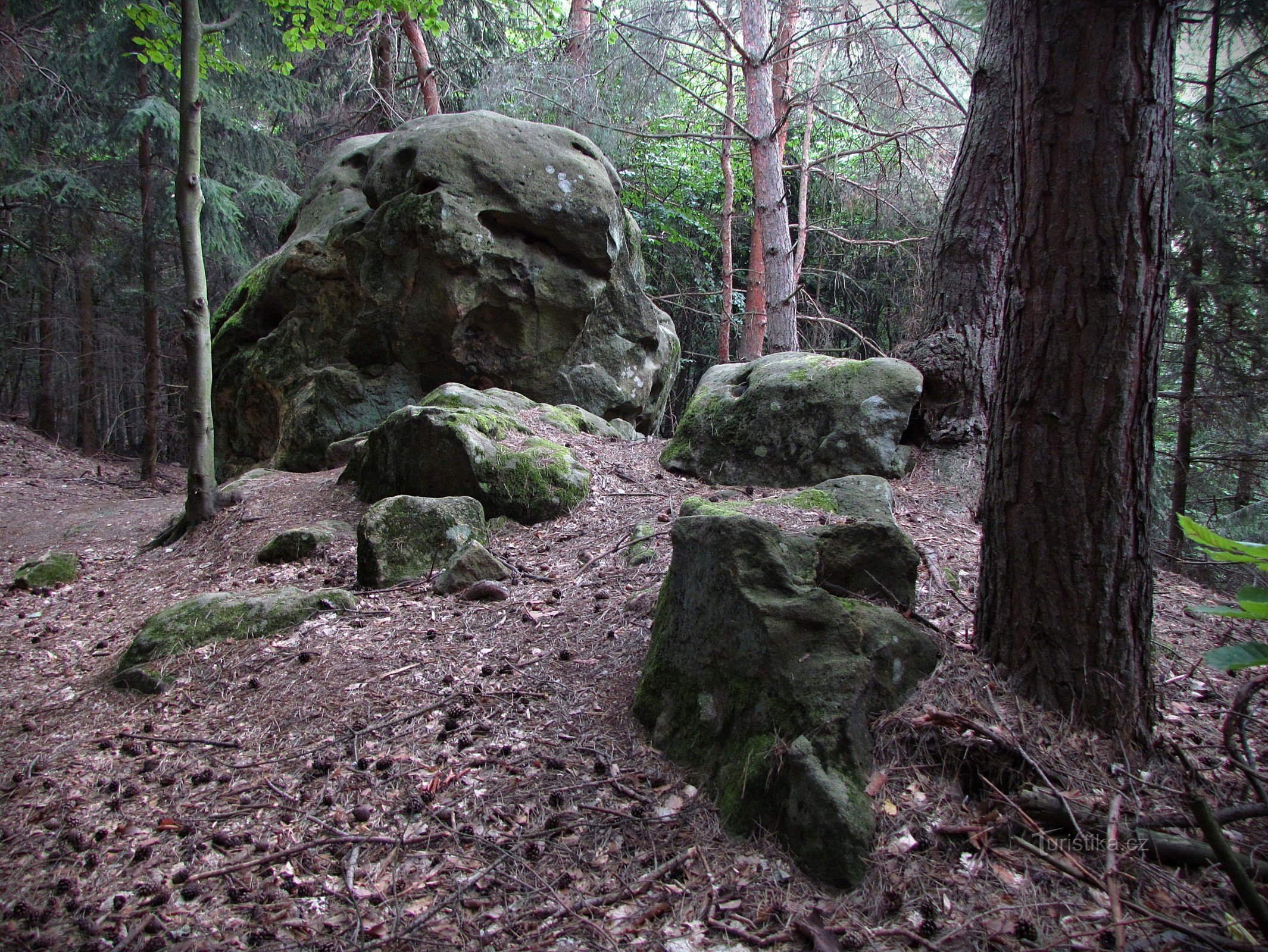 Chřiby - Pilařka-Felsen