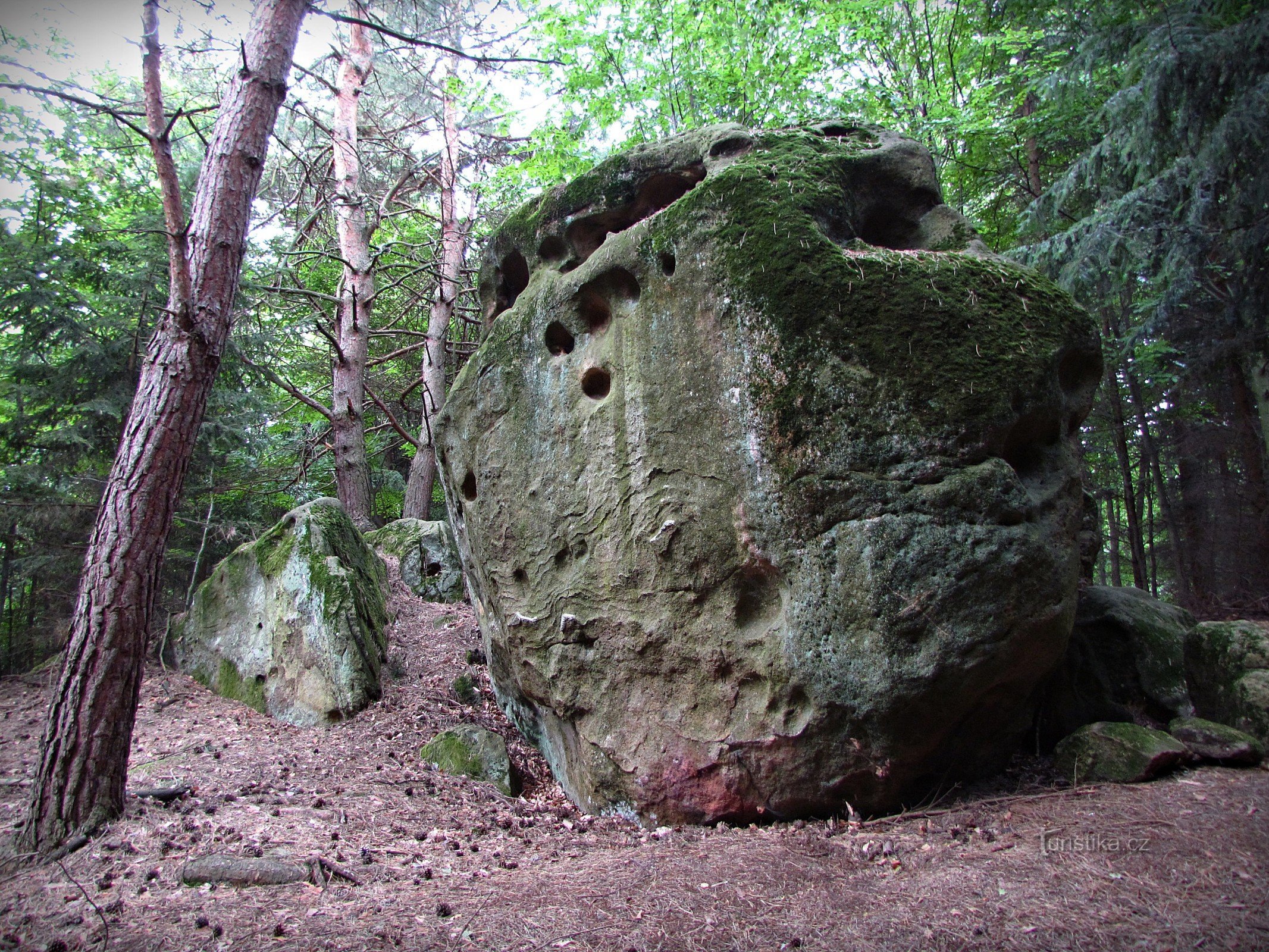 Chřiby - Pilařka-Felsen