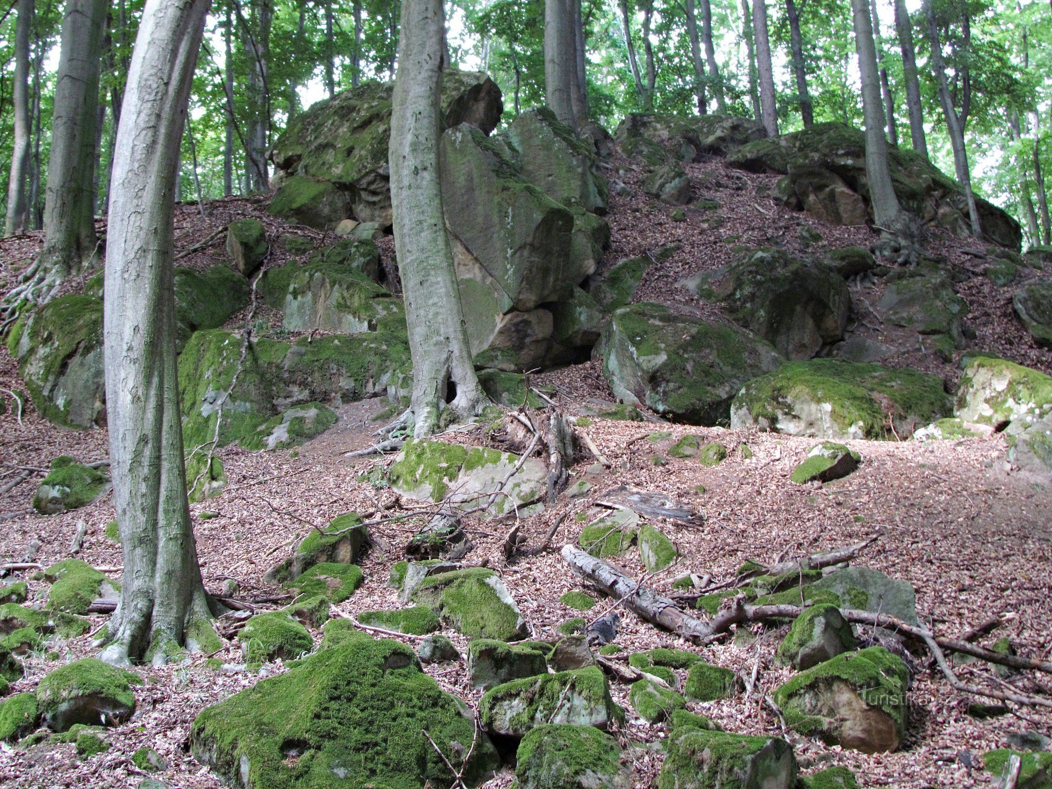 Chřiby - Rocher de Vrtalka