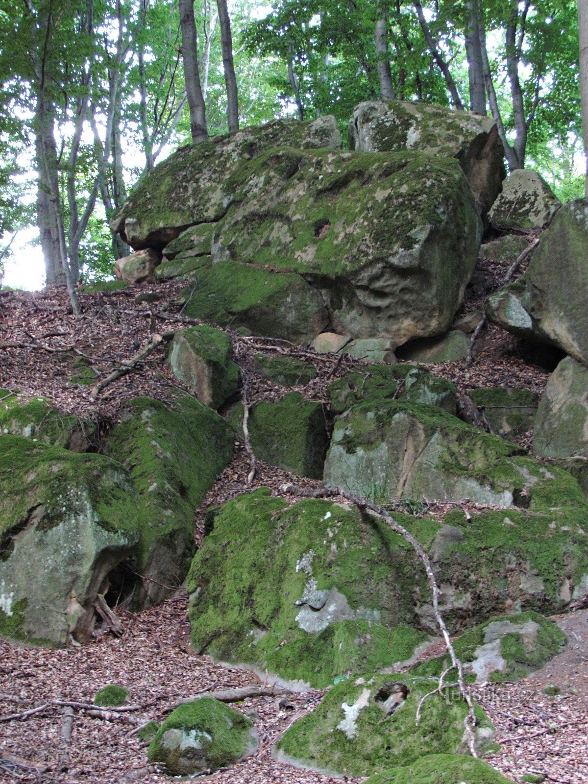 Chřiby - Vrtalka rock