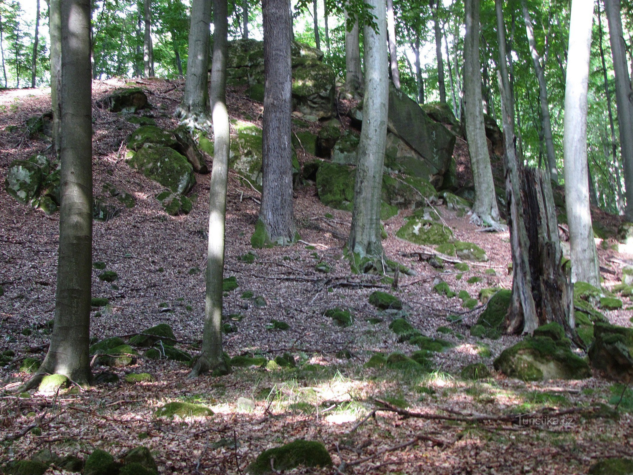 Chřiby - Rocher de Vrtalka