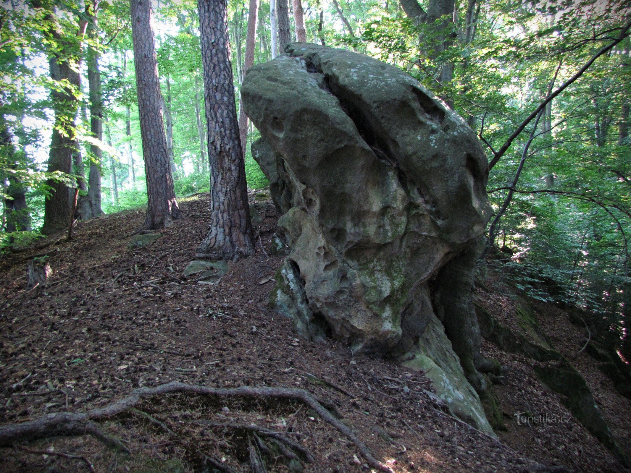 Chřiby - Skaličky near Koryčany