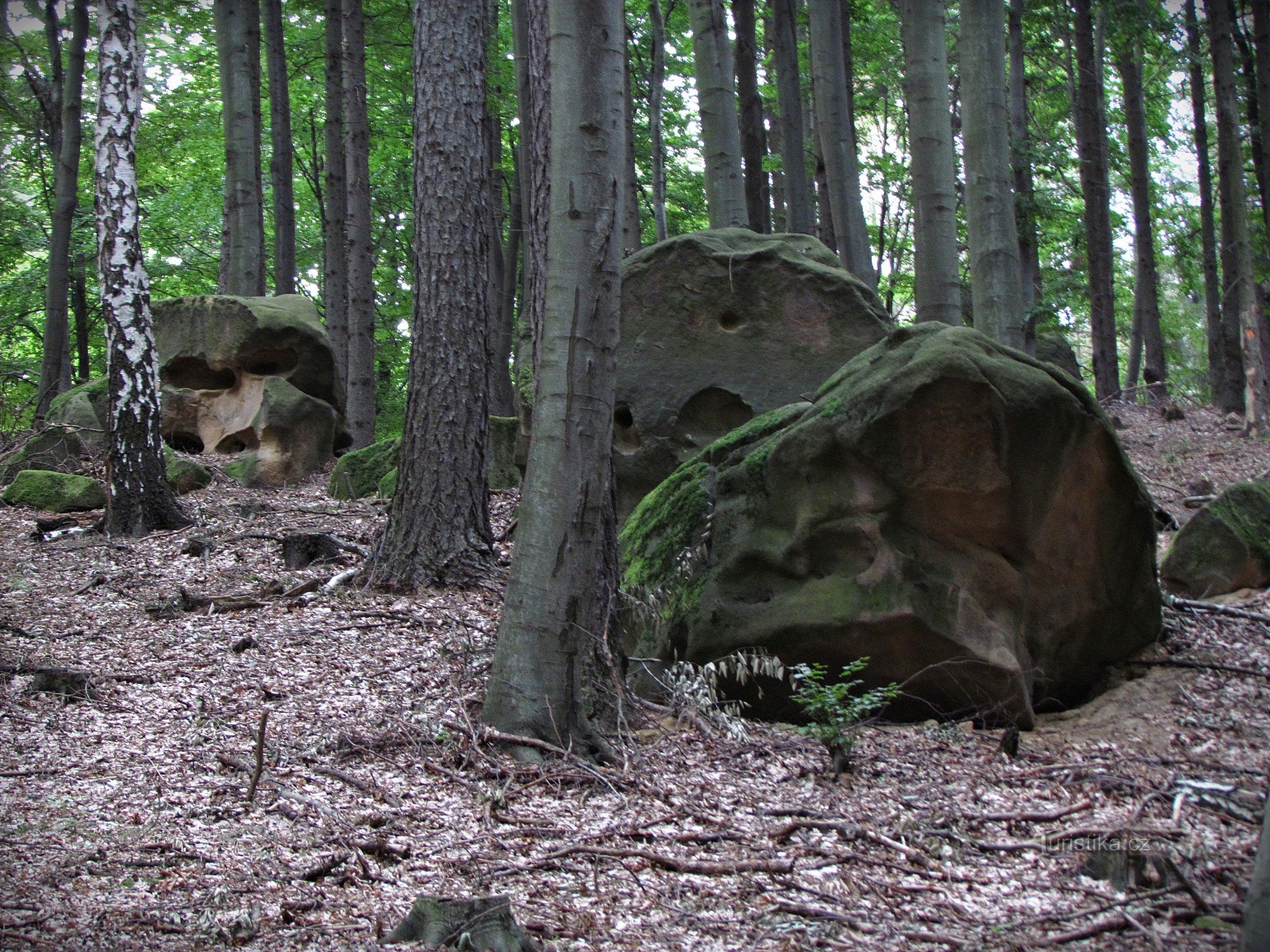 Chřiby - jardins rocheux près de Zikmundovek