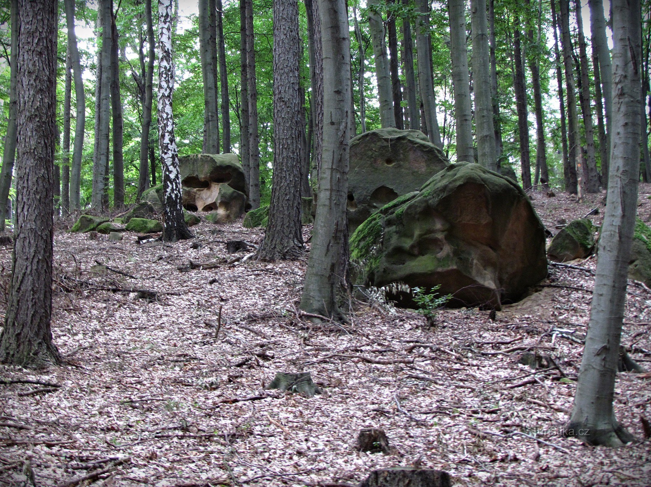 Chřiby - kalliopuutarhat lähellä Zikmundovekia