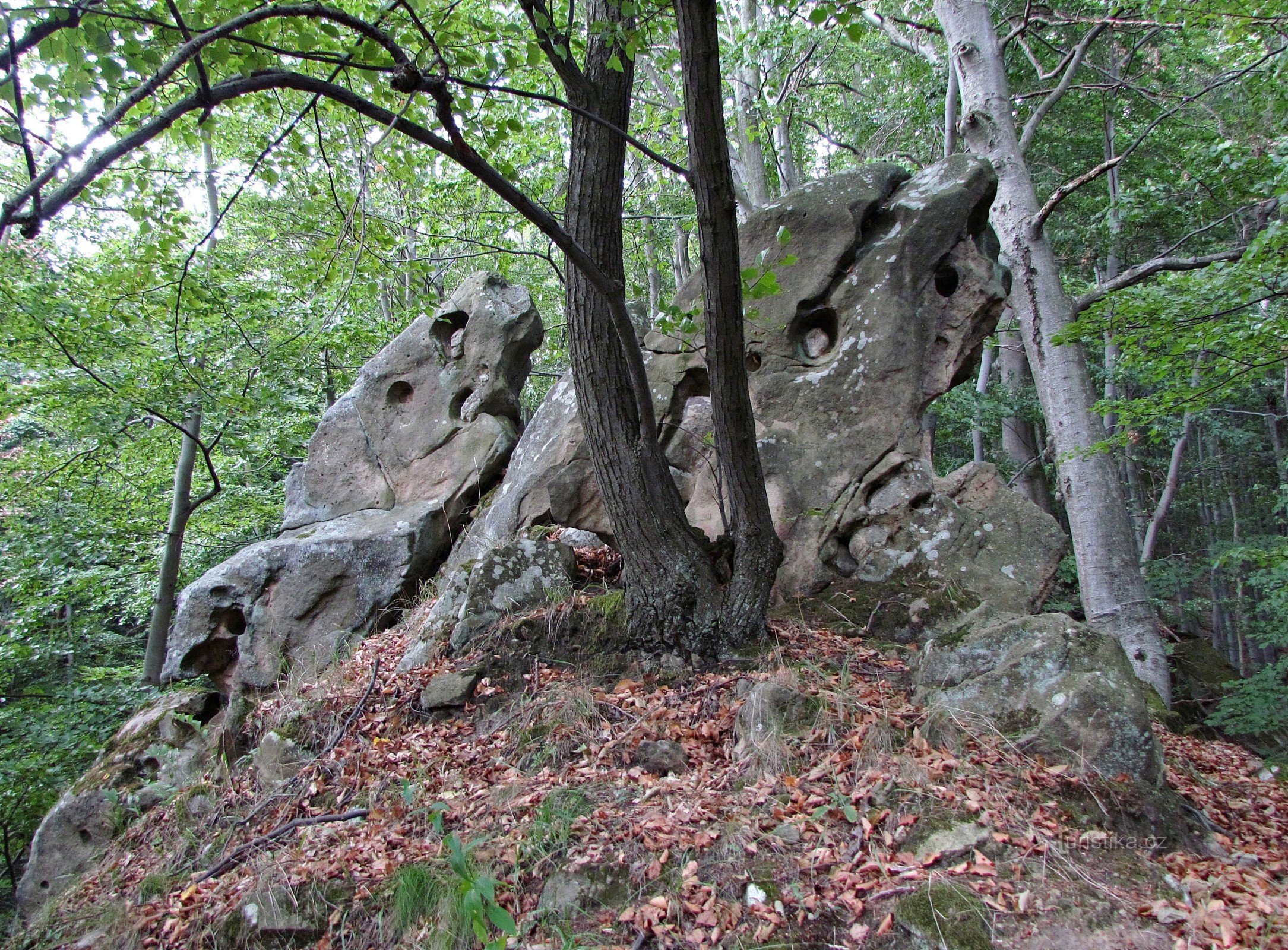 Chřiby - Skalní srdce Maršavy