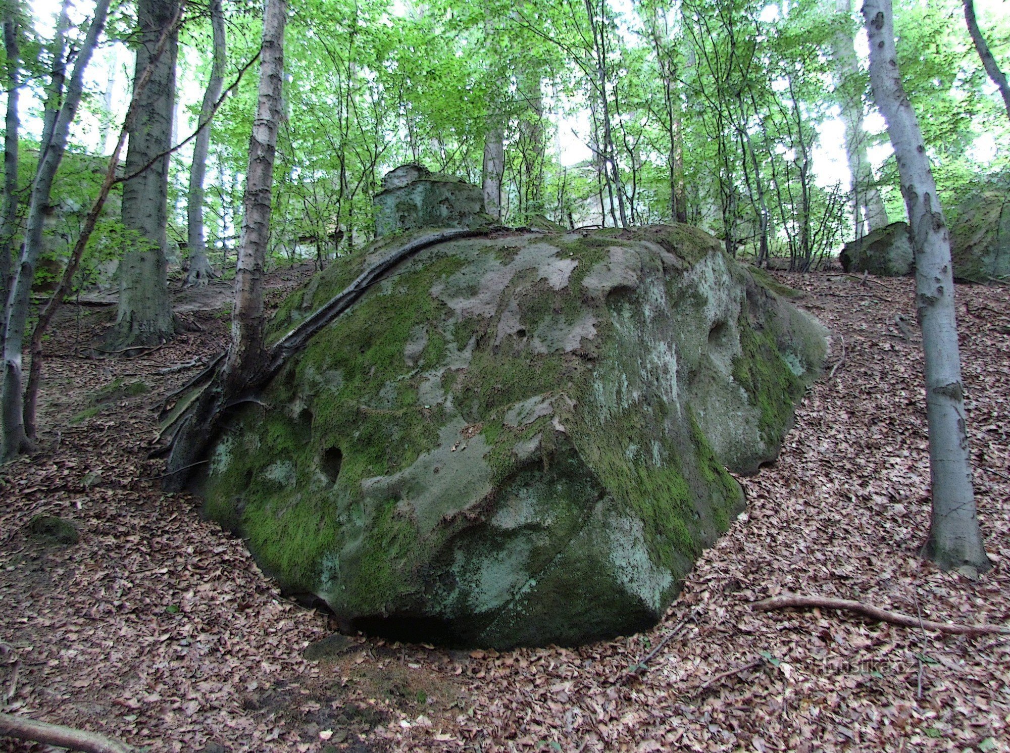 Chřiby - κοπάδι βράχου κοντά στο Kozlo