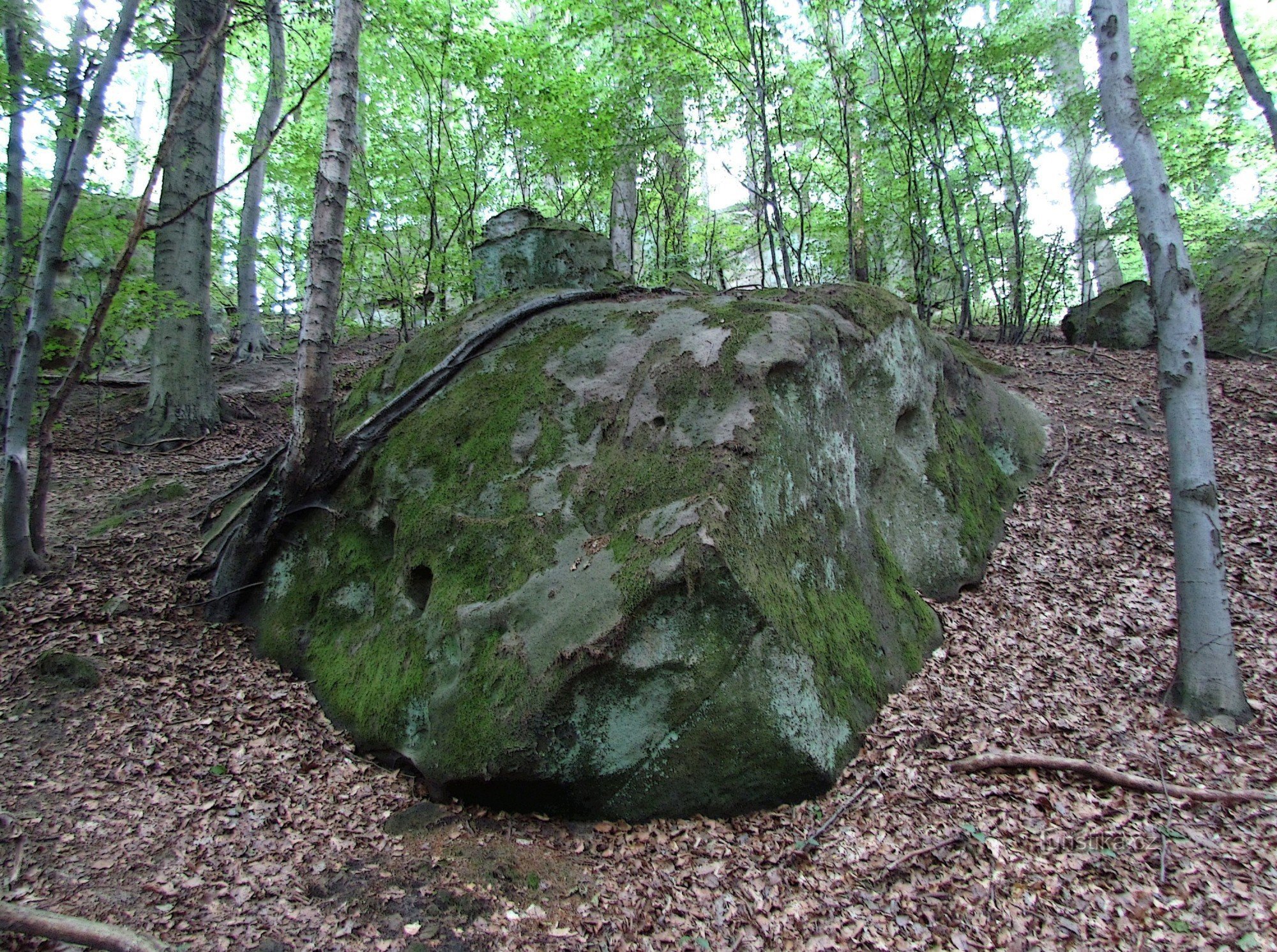 Chřiby - stenhjord nära Kozlo