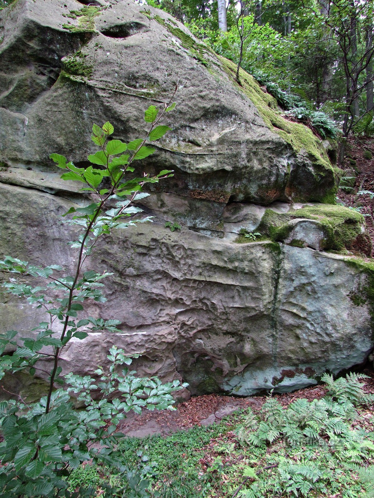 Chřiby - formațiuni stâncoase în partea superioară a PP Makovica