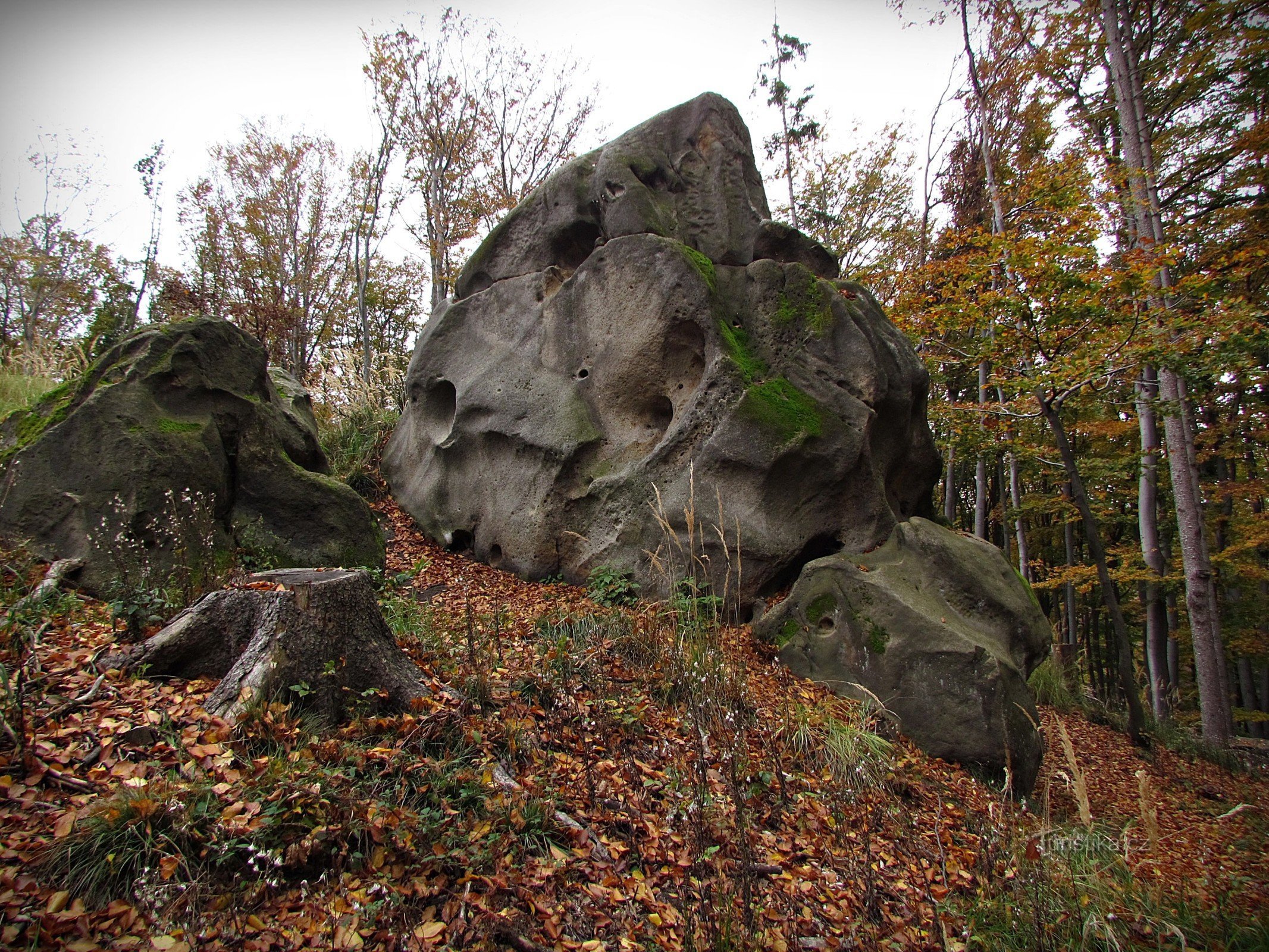 Chřiby - Březová 山下的岩石