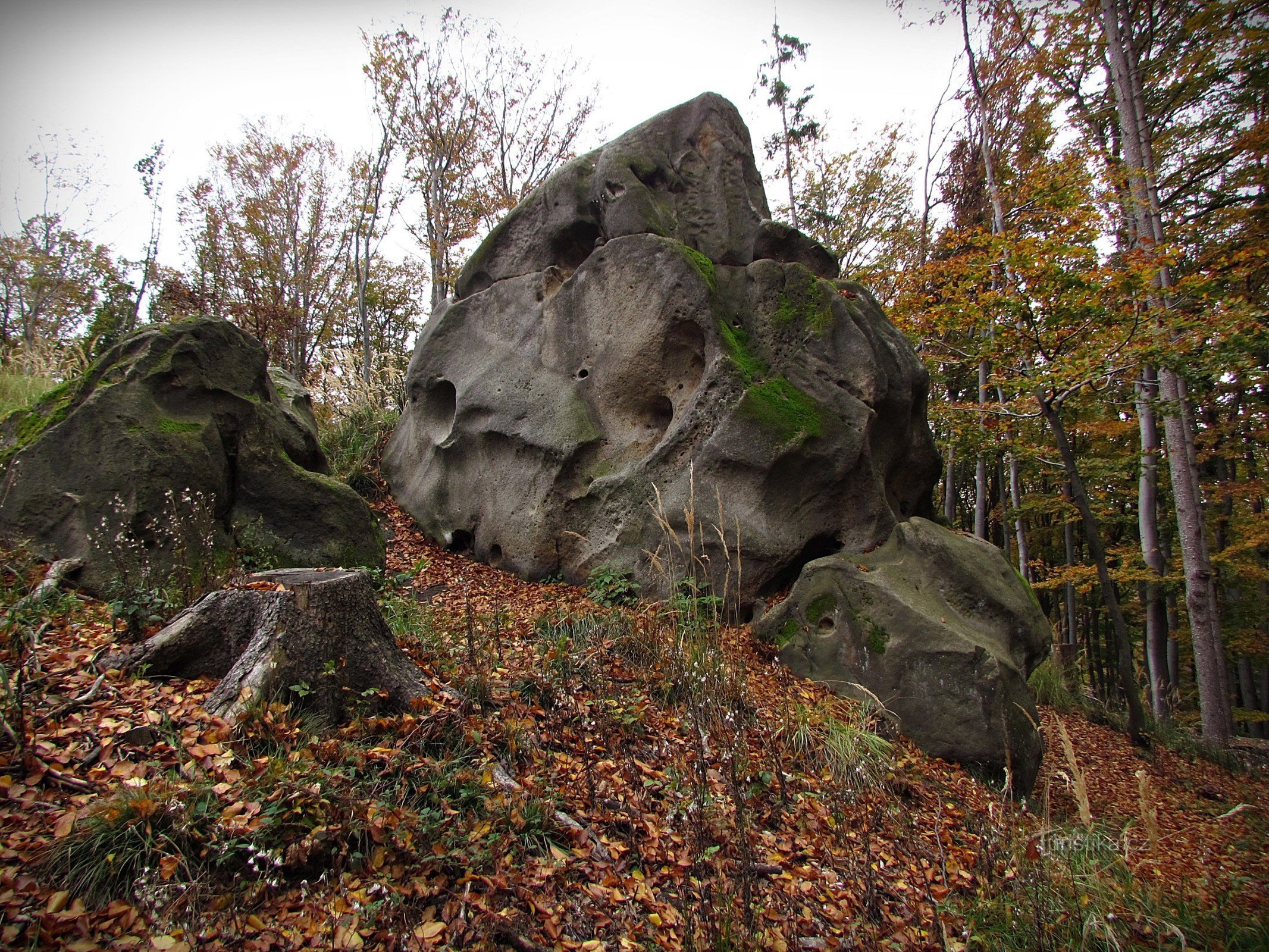 Chřiby - Skály pod vrchem Březová