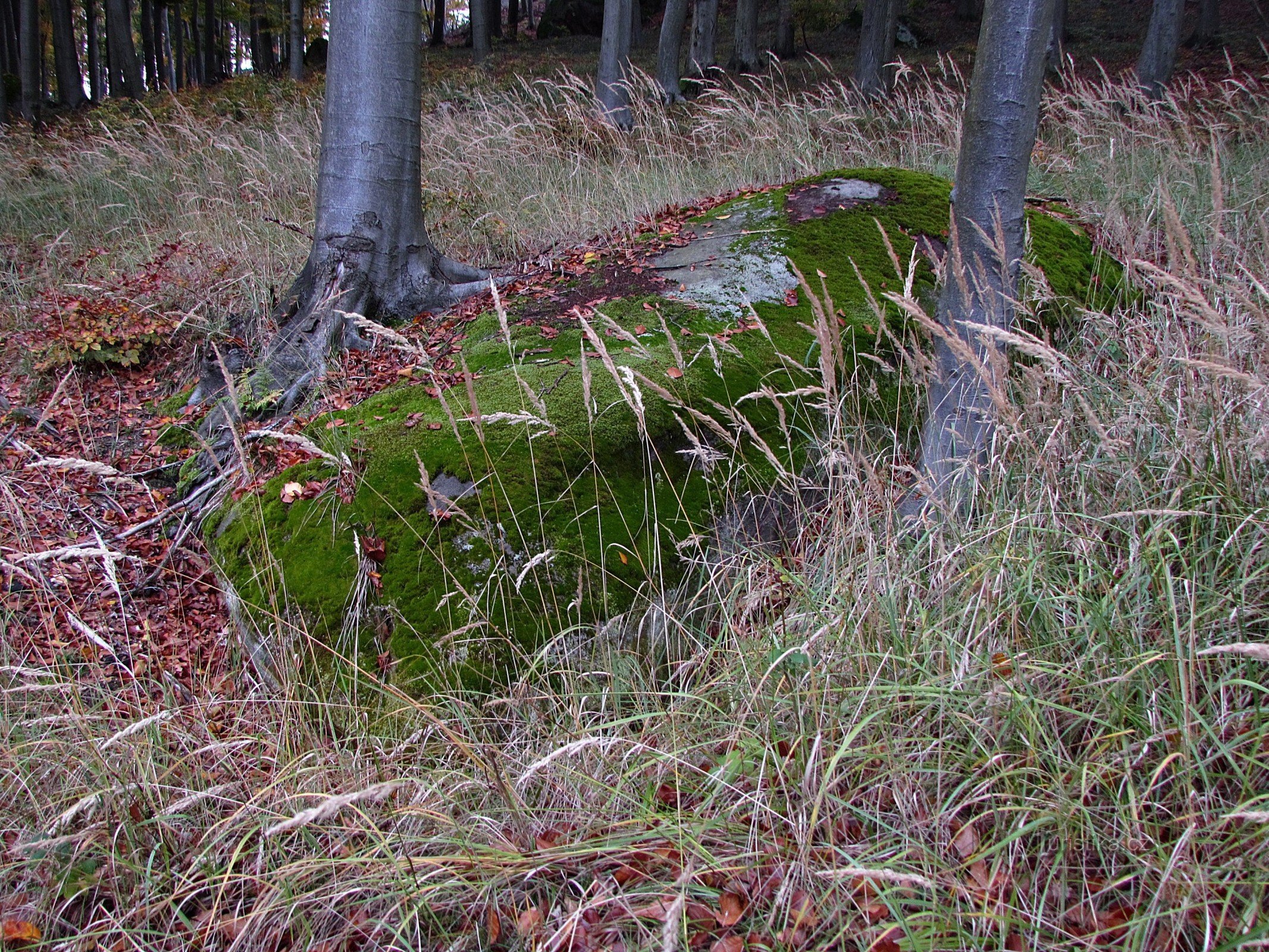 Chřiby - Rochers sous la colline de Březová