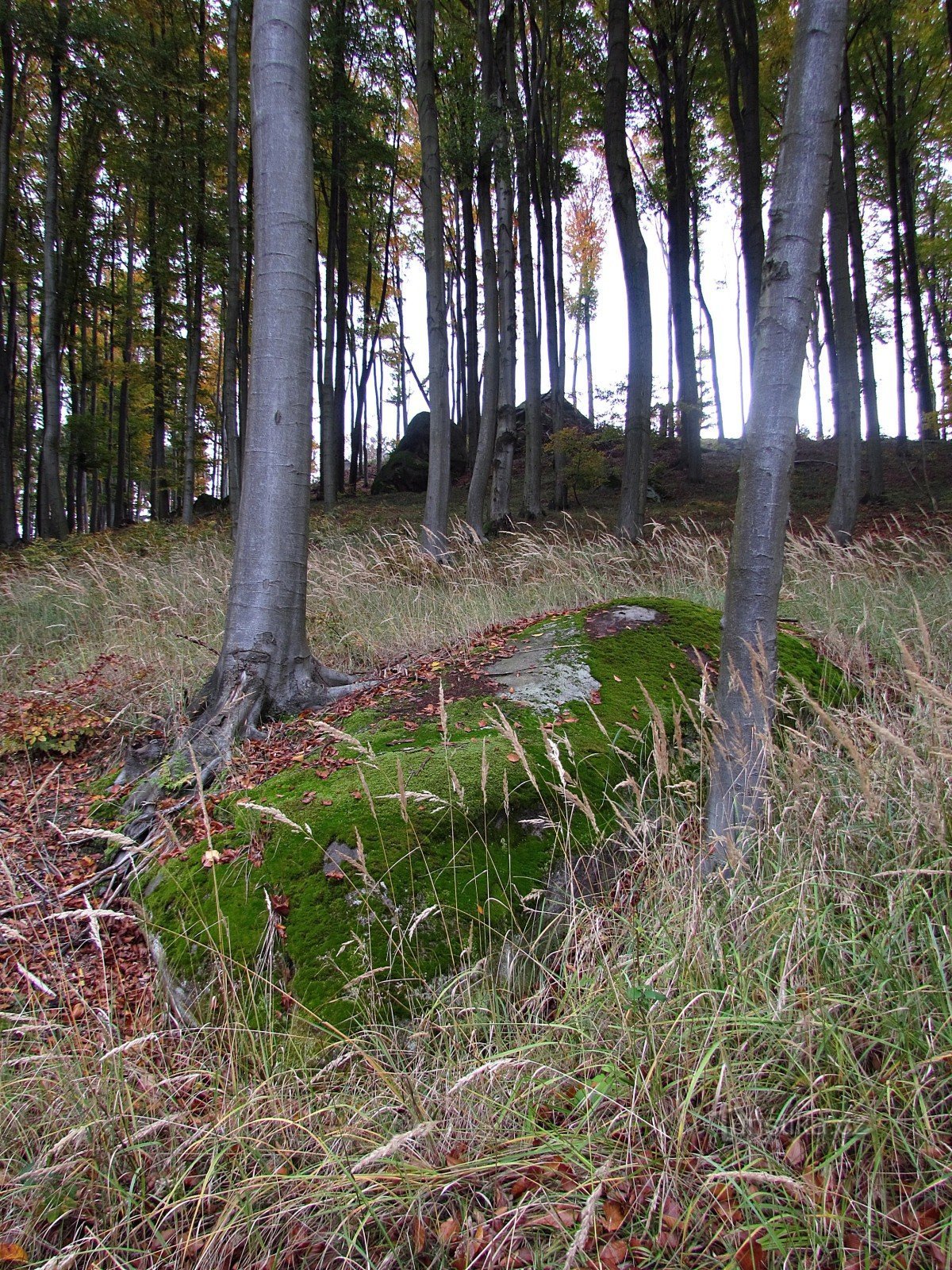 Chřiby - Βράχοι κάτω από το λόφο Březová