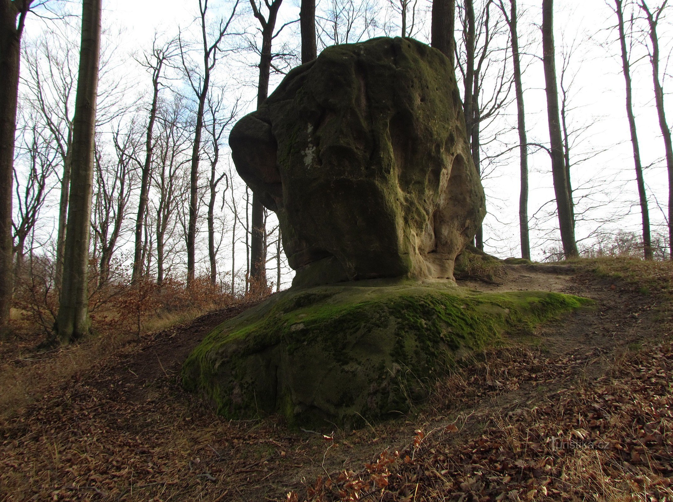 Chřiby - Hartenrots