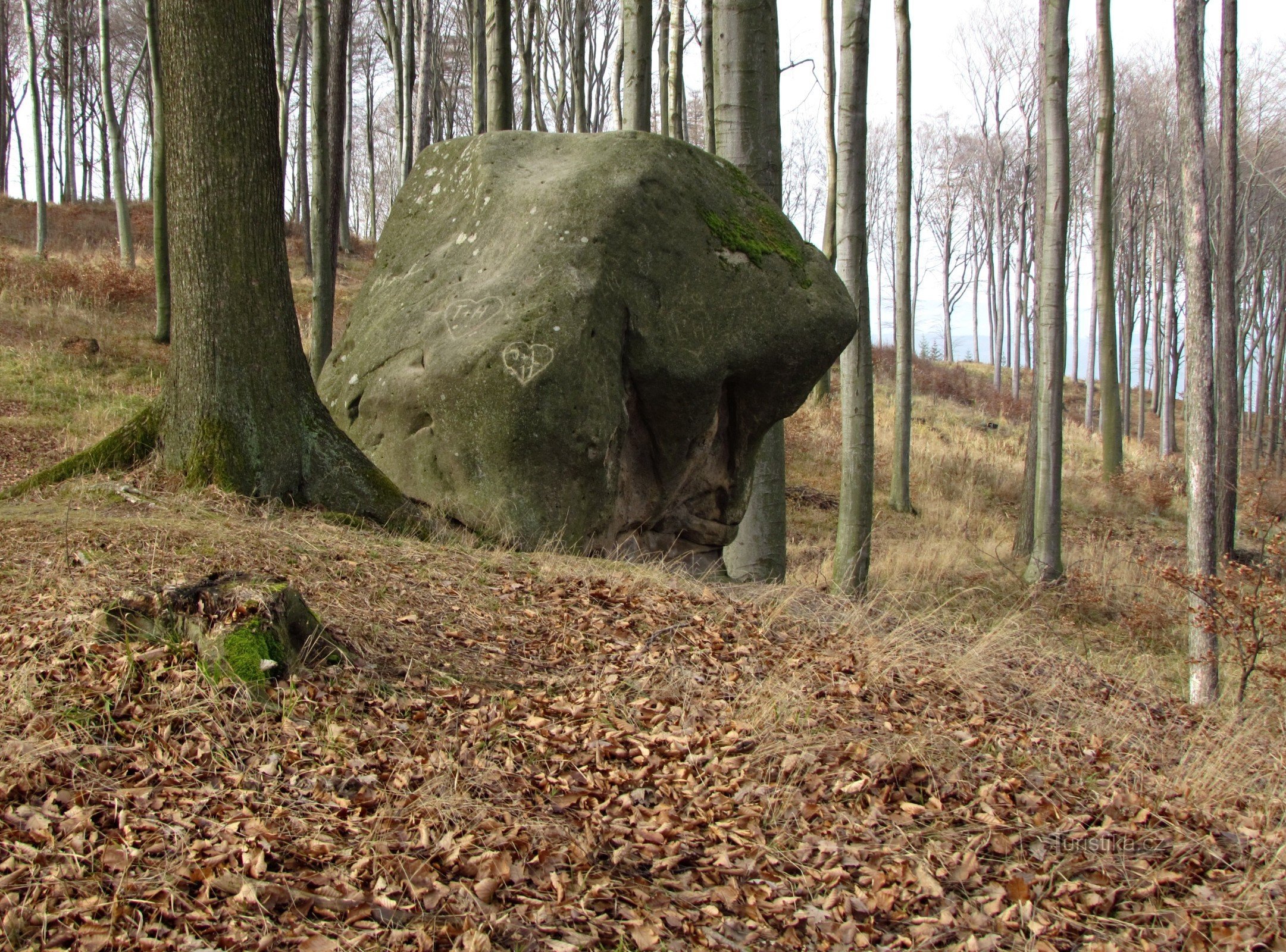 Chřiby - Hjerterock