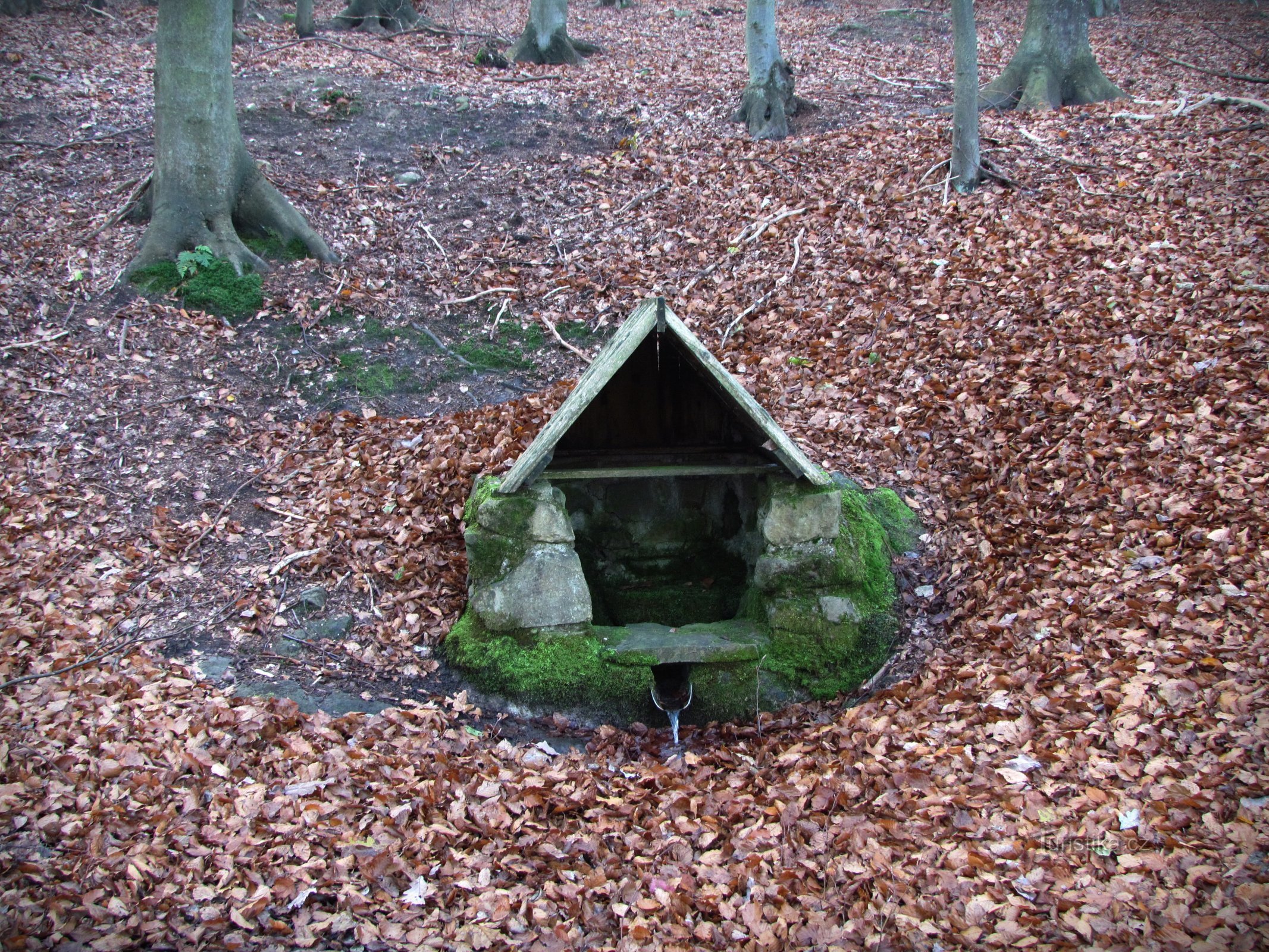 Chřiby - Steinbach's well