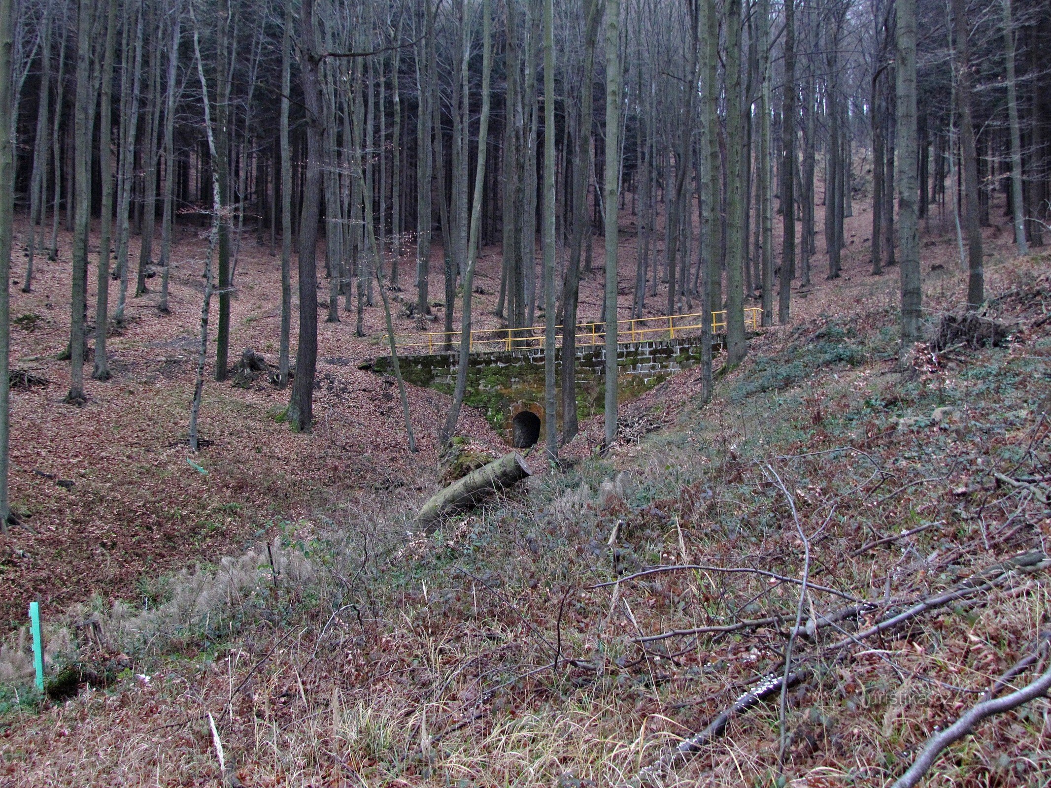 Chřiby - U Skaredý dublagem