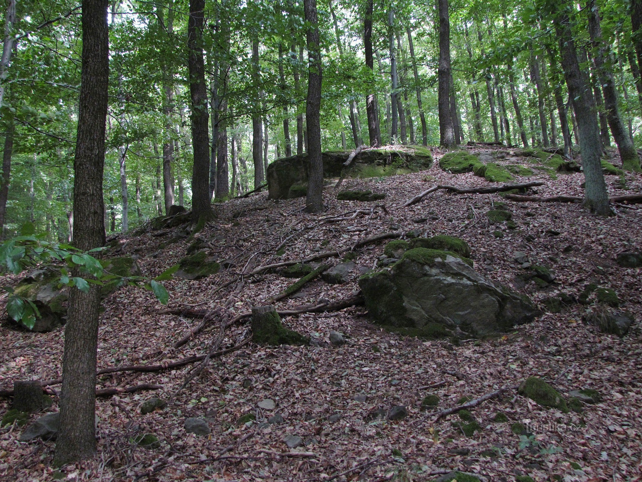 Chřiby - Hroby hill