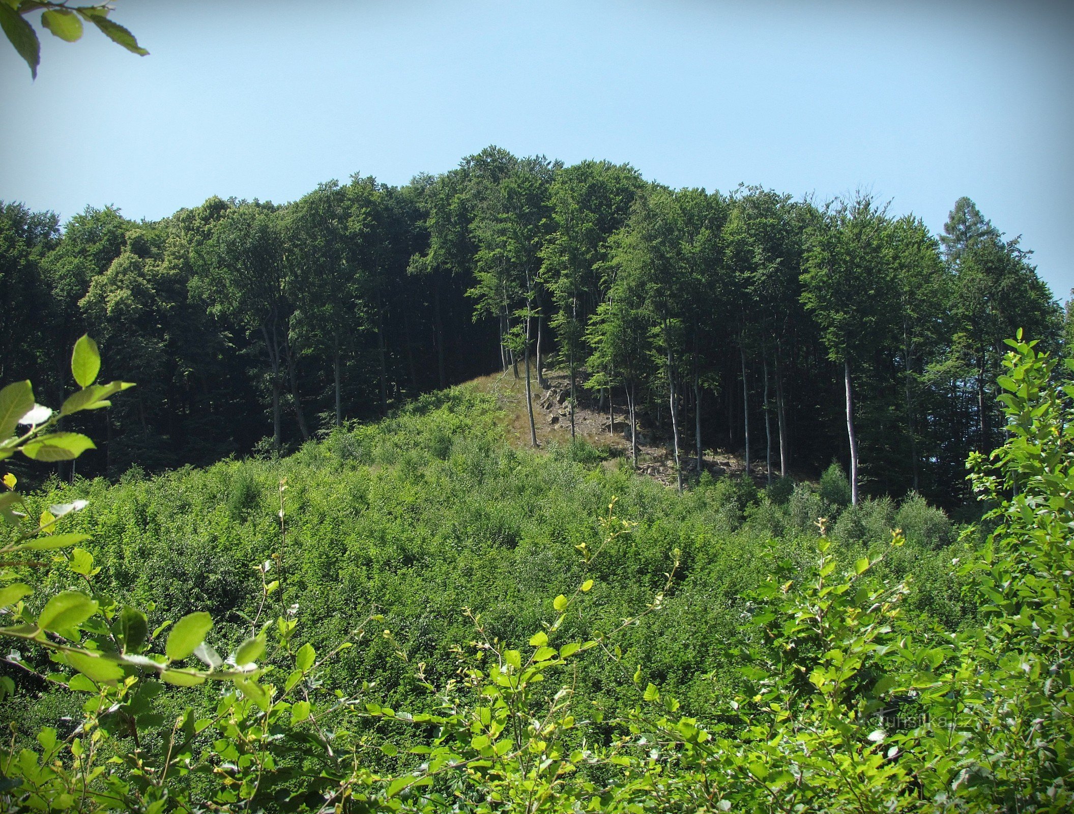 Chřiby - lookout under Rozšipena skála