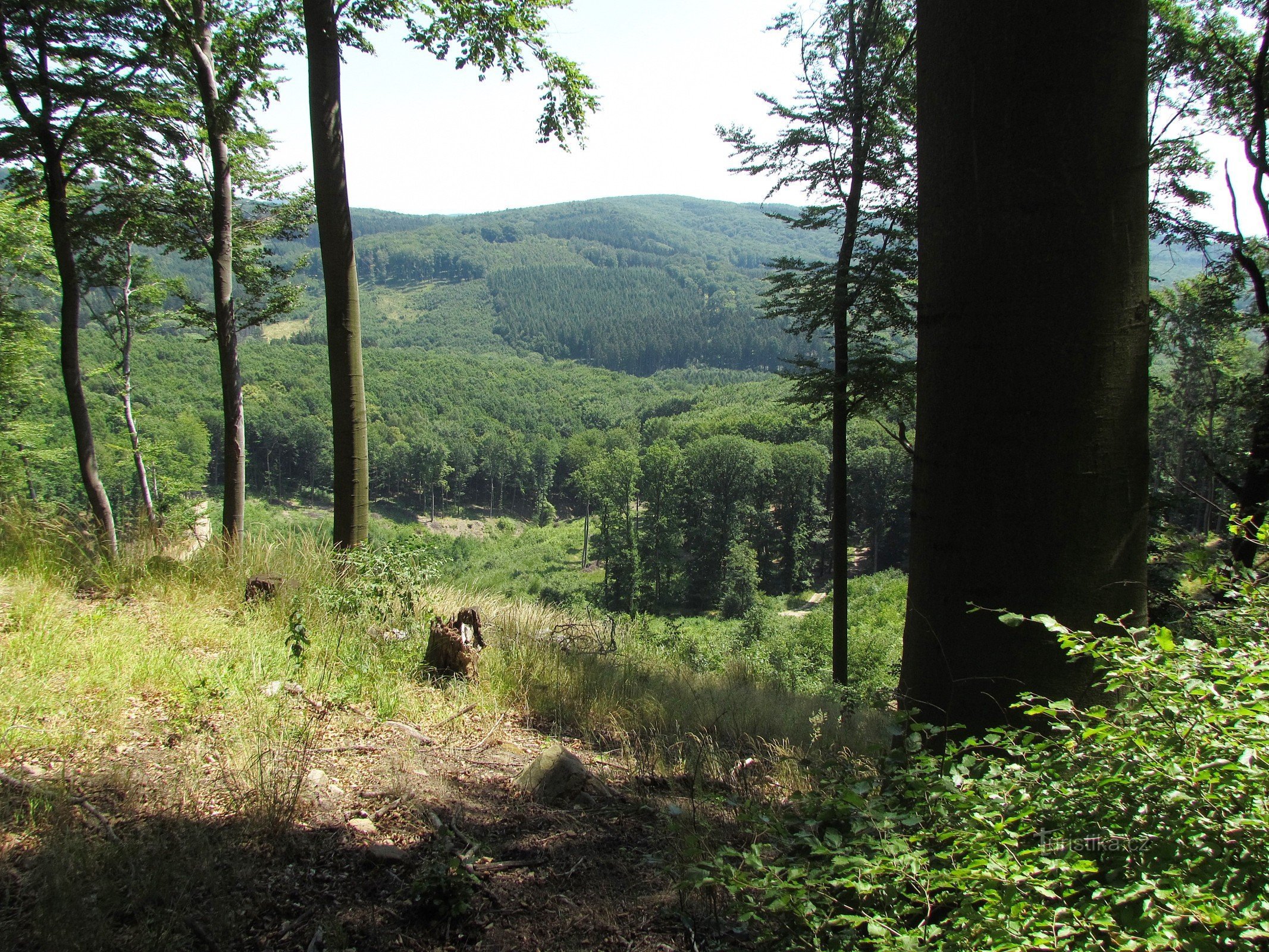 Chřiby - utkik under Rozšipena skála