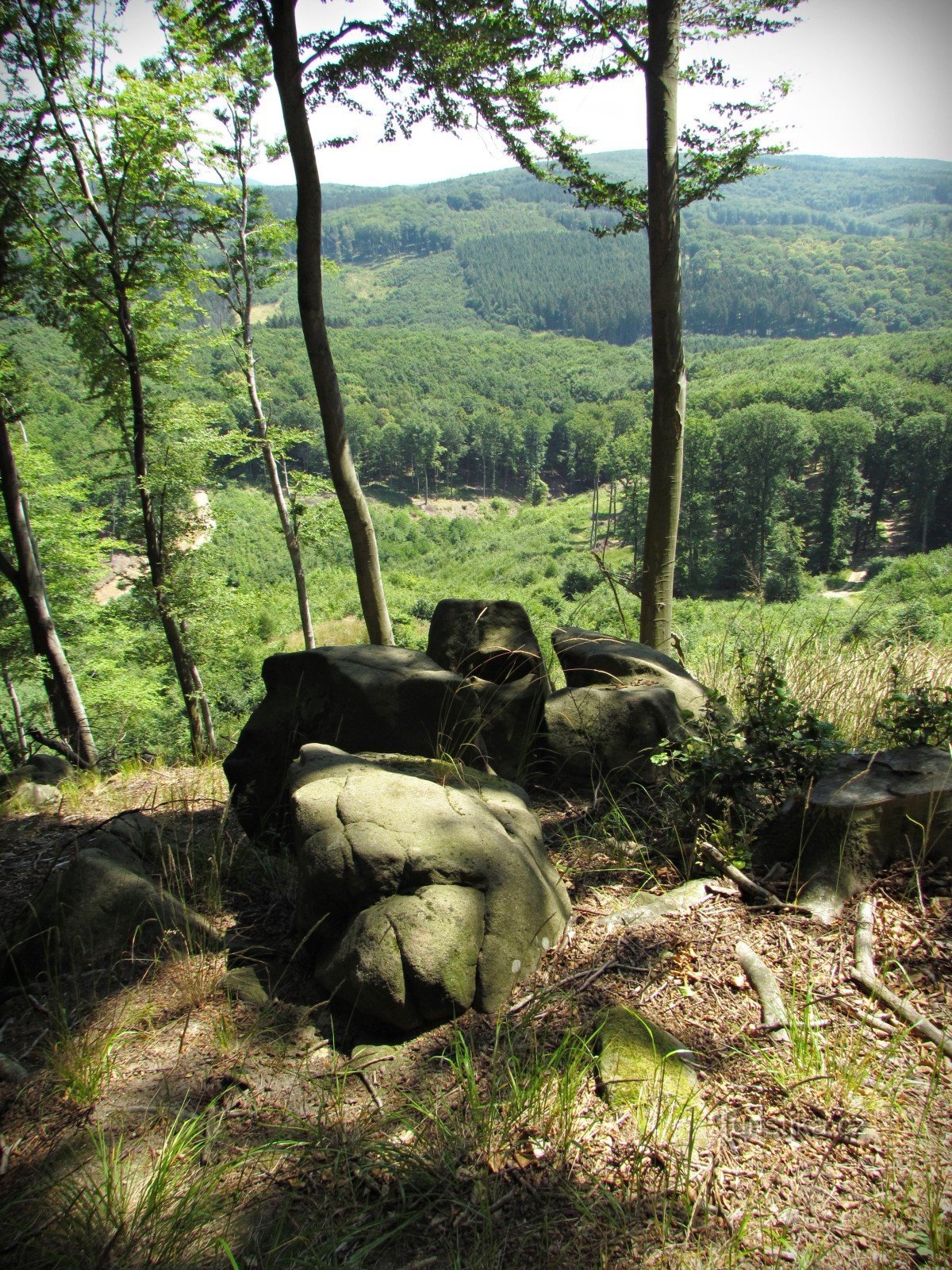 Chřiby - lookout under Rozšipena skála