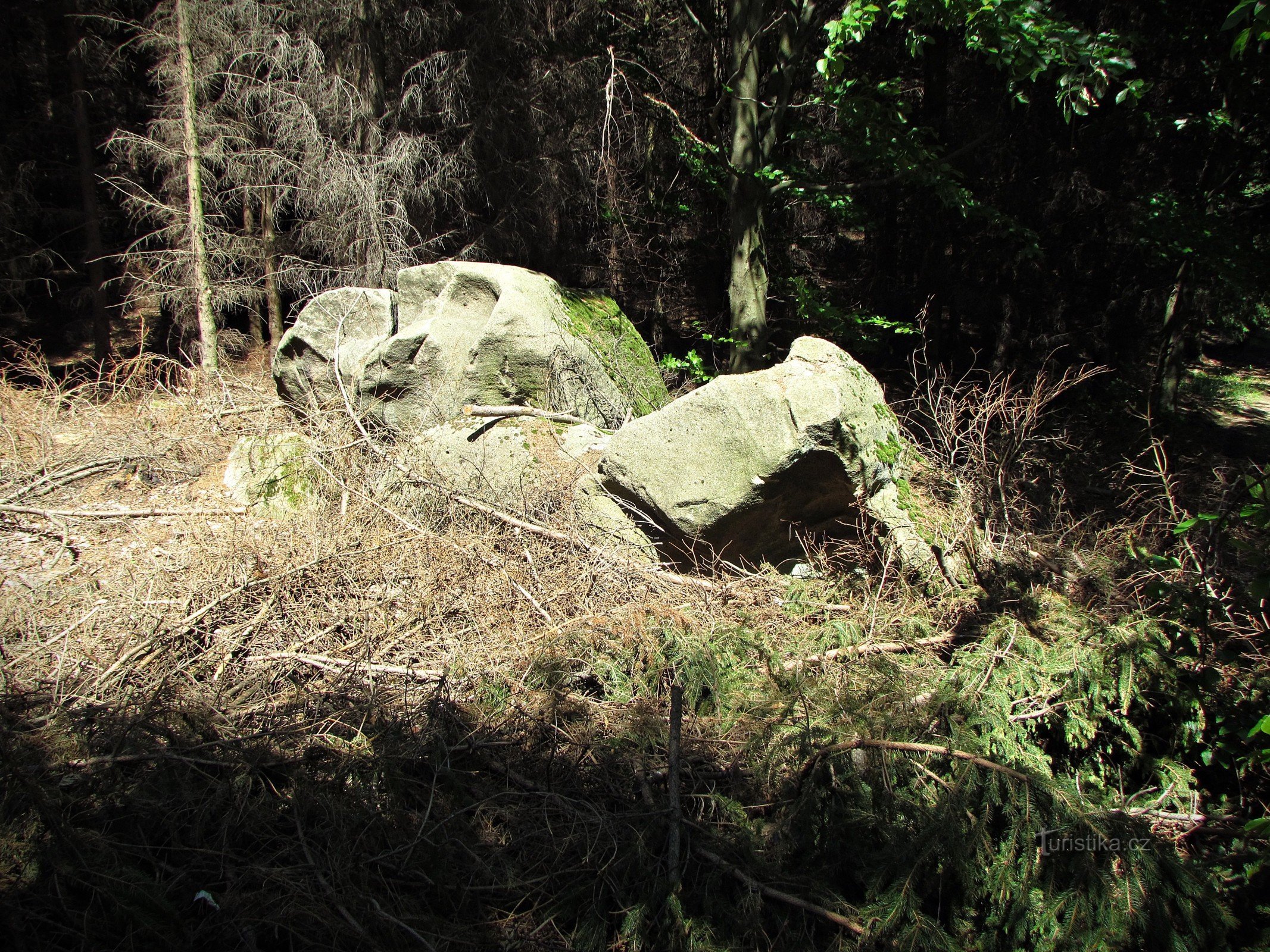 Chřiby - Hanging rocks