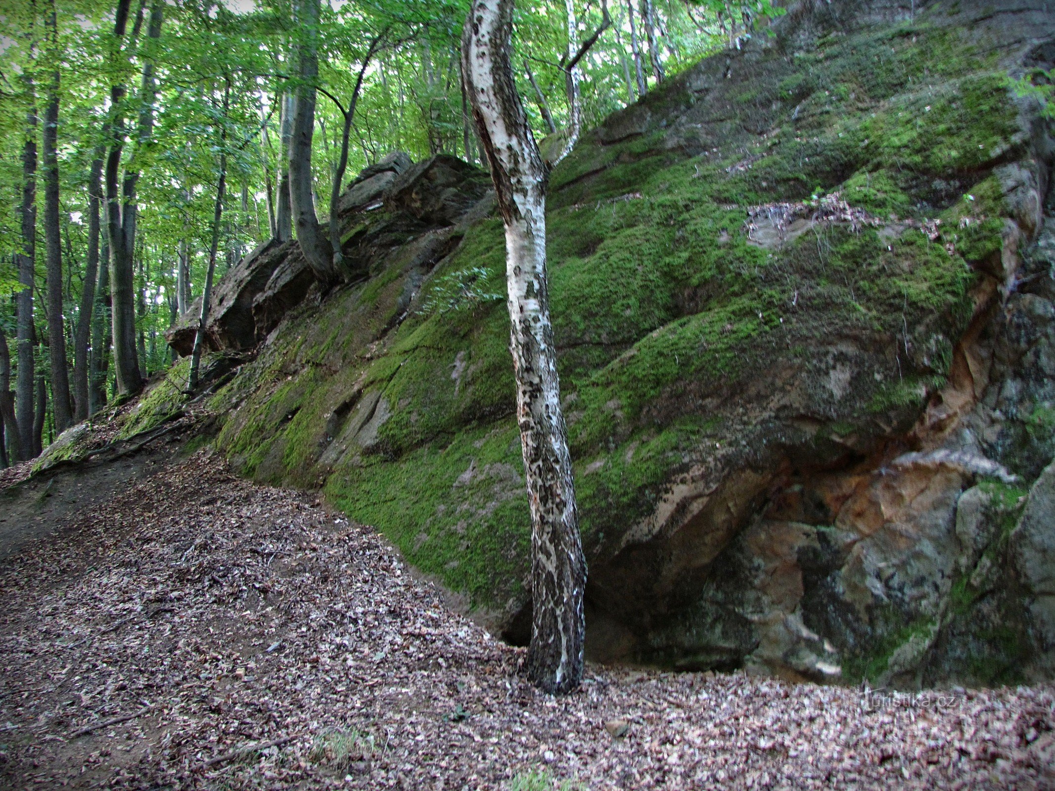 Chřiby - Bandyta