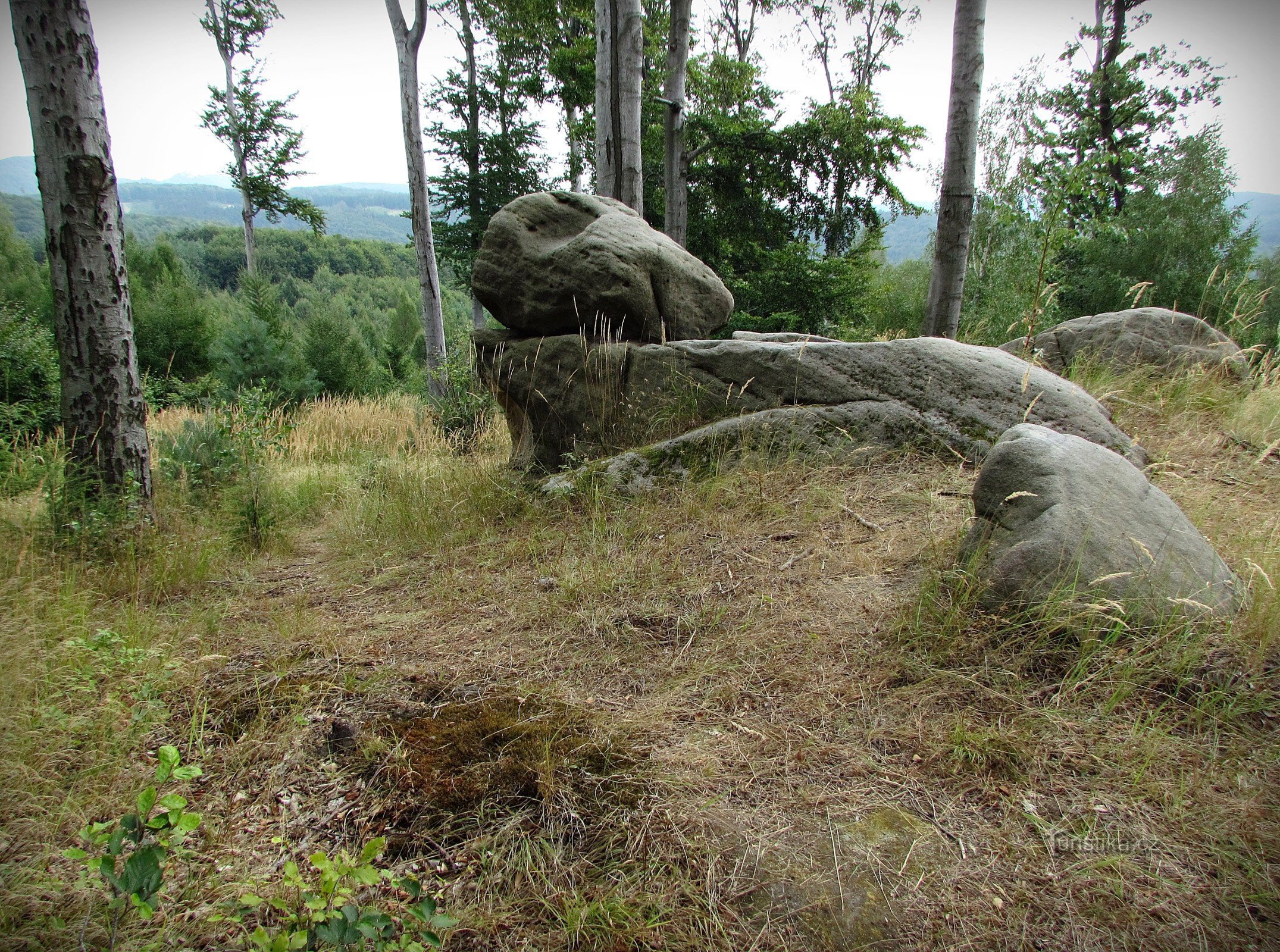 Chřiby - Zikmund's rock