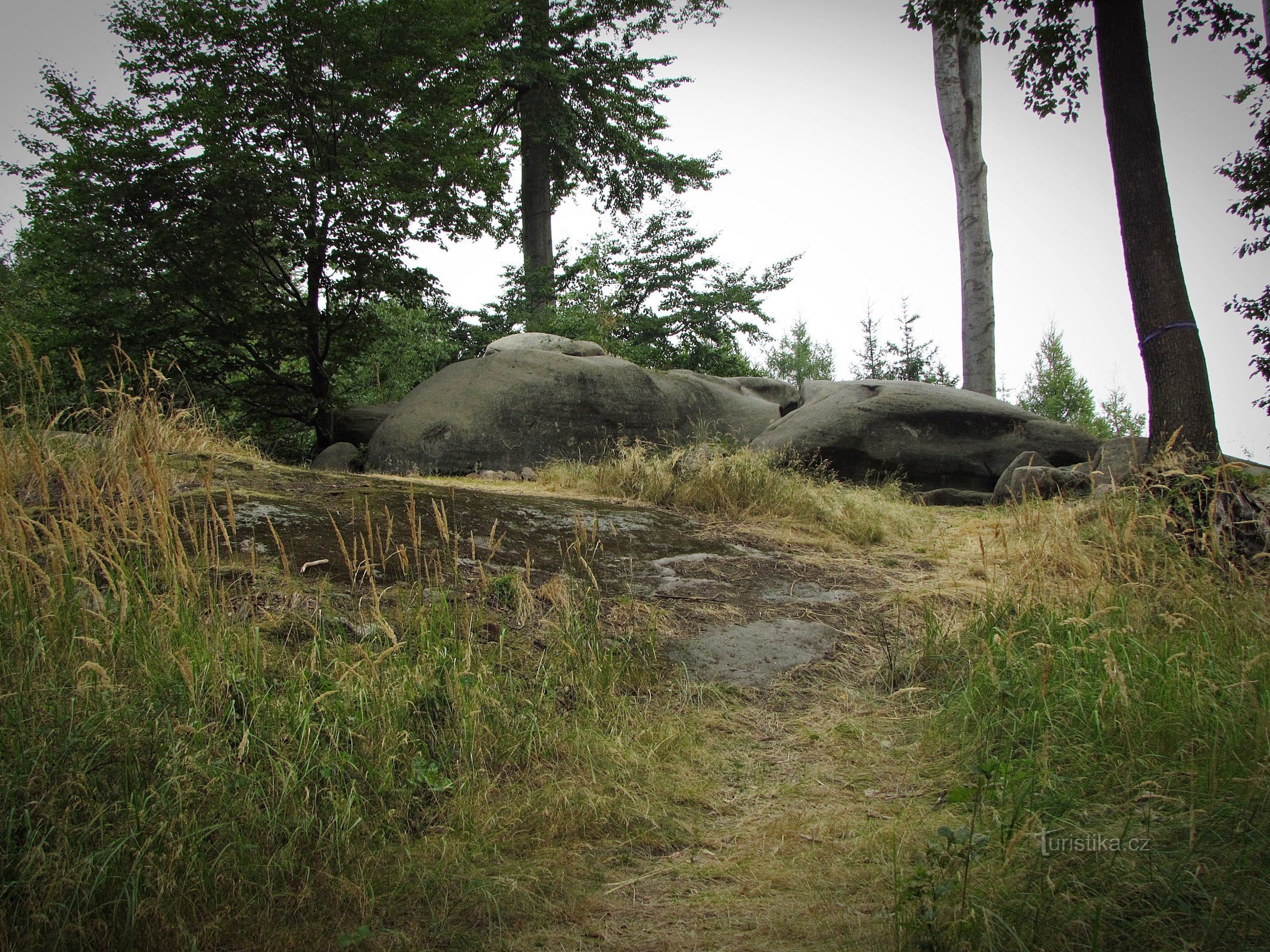 Chřiby - Zikmund's rock