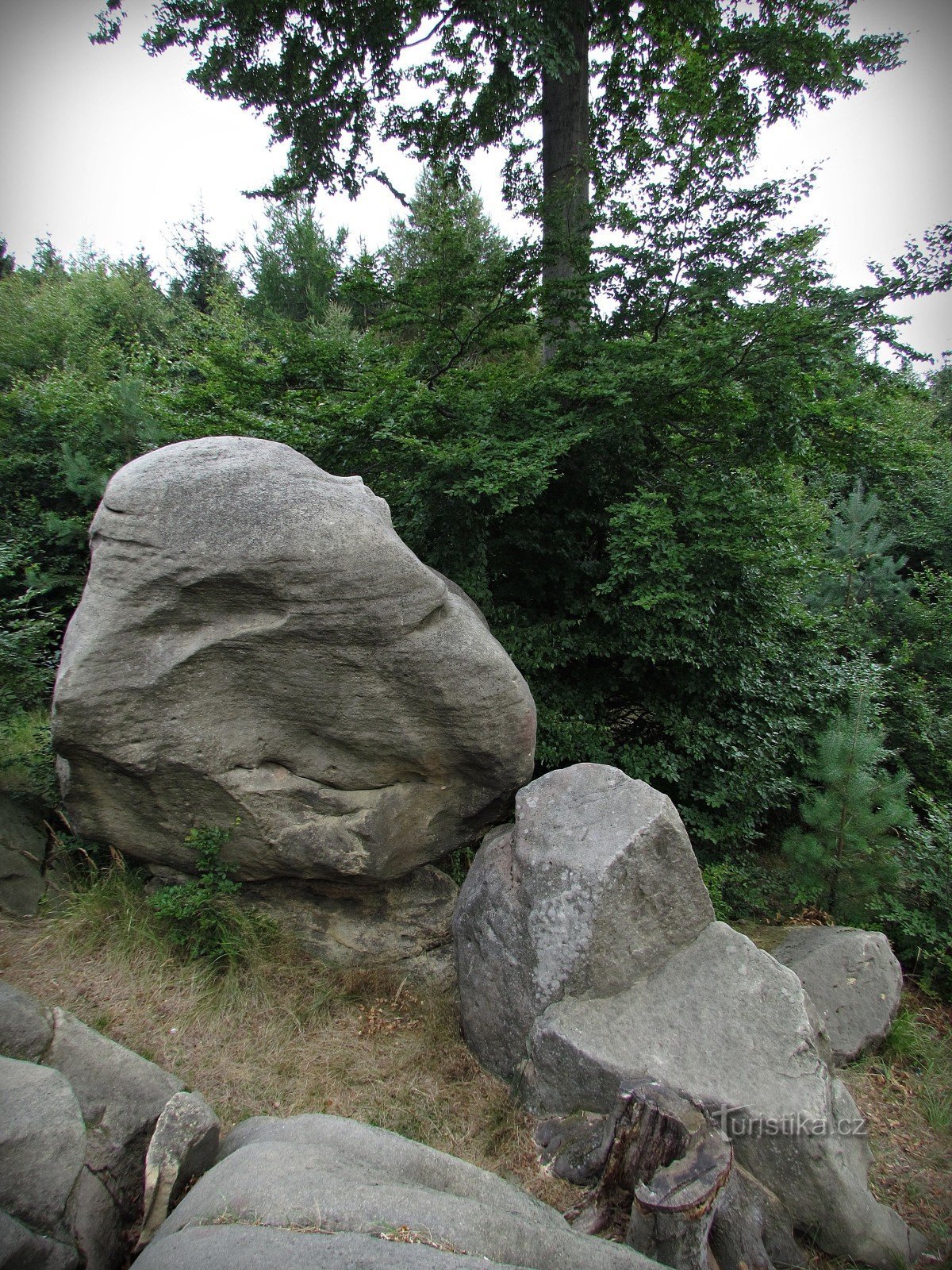 Chřiby - La roca de Zikmund