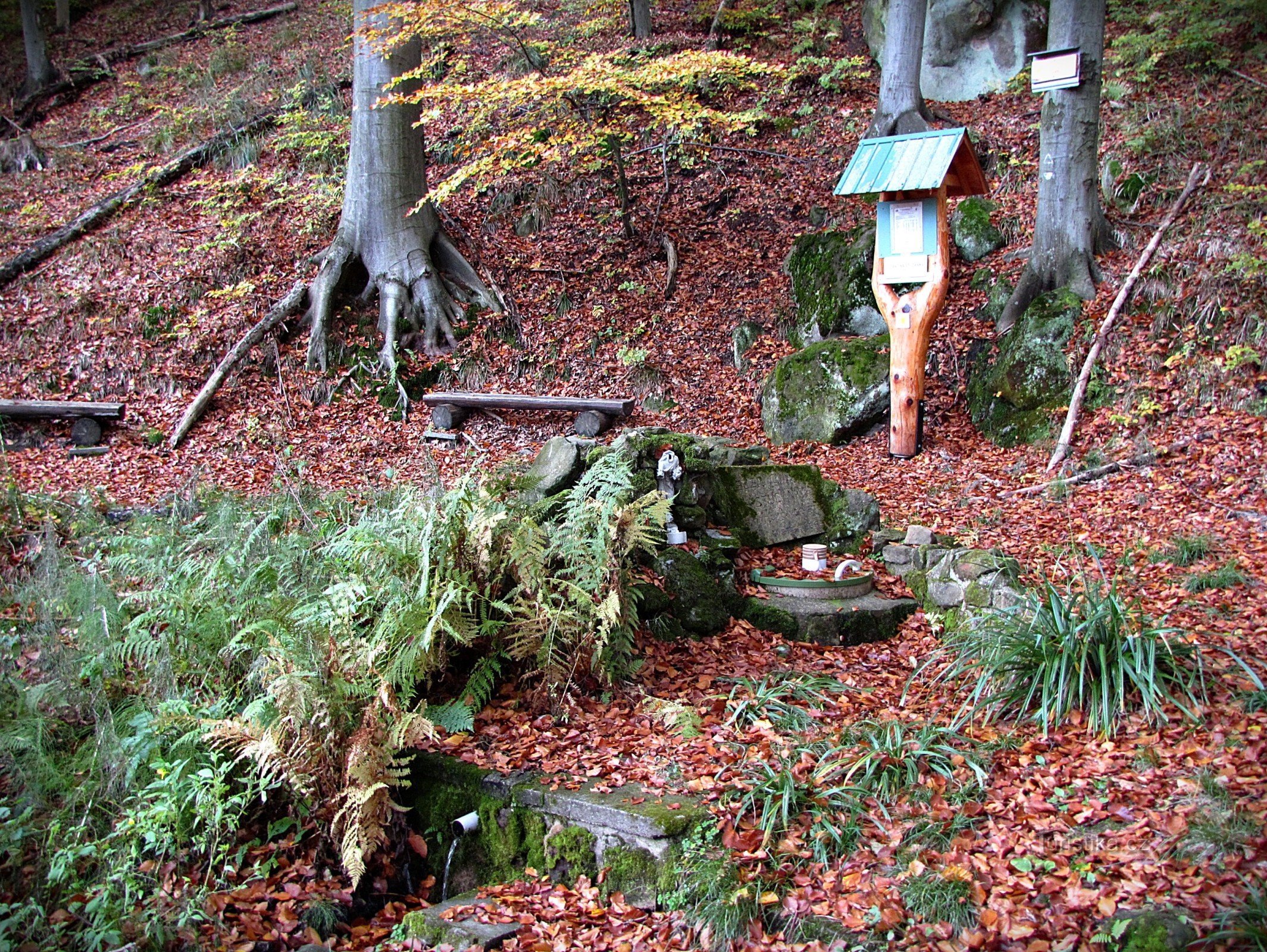 Chřiby - Zuzančina studánka