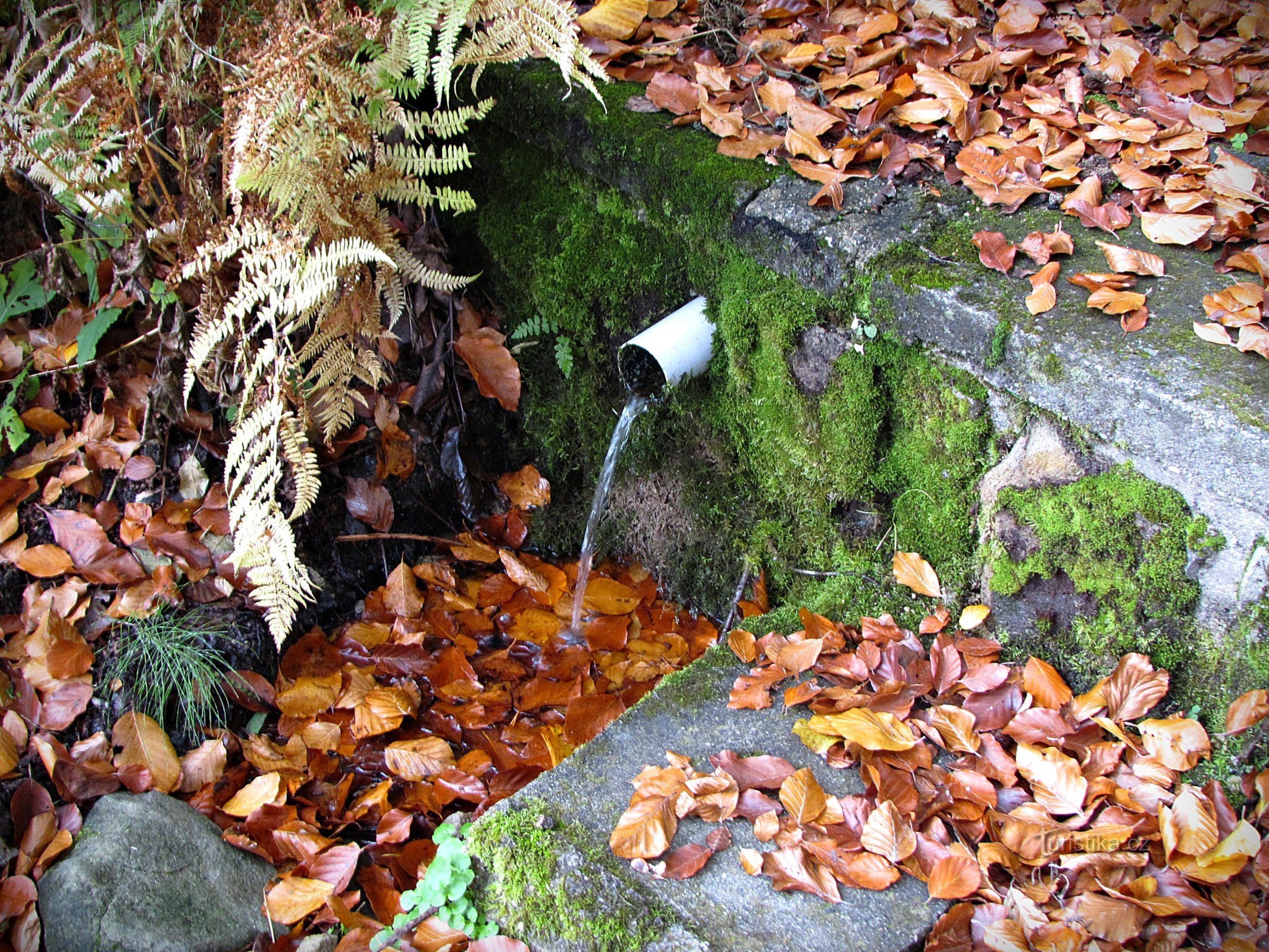 Chřiby - Brunnen von Zuzančina