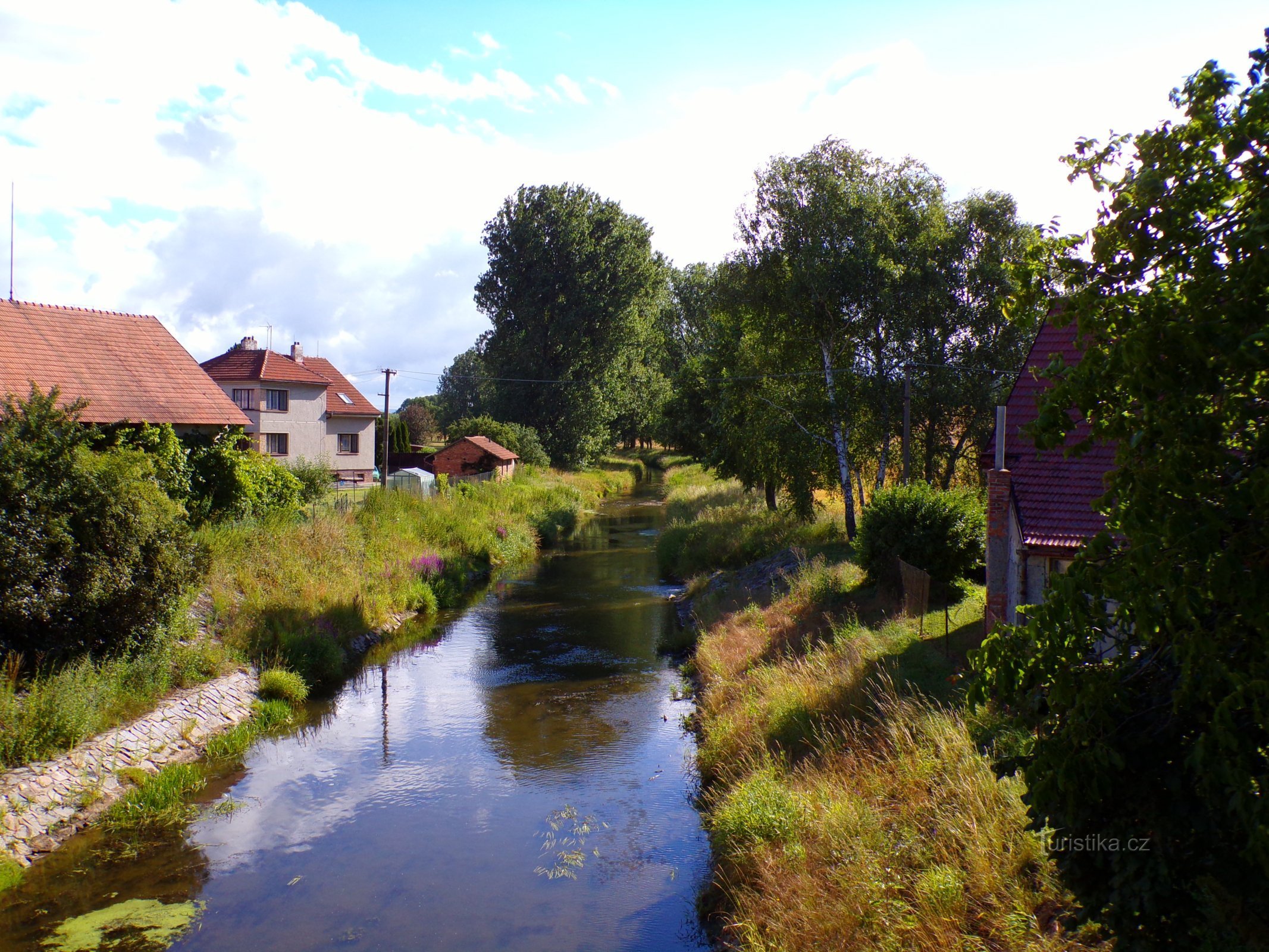 Chropotínský stream (Ledce, 10.7.2022)