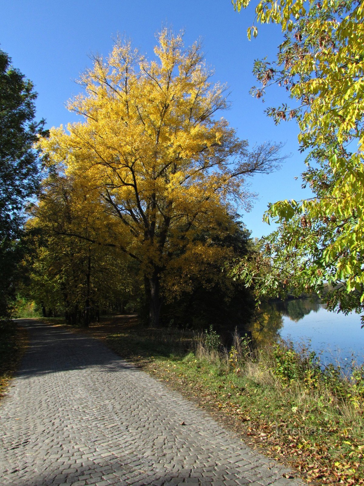 Chropyně and its water bodies