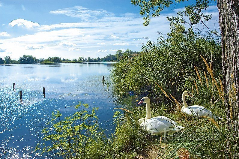 Chropyně (c) CCRVM Archive and Destination Company Злинско и Лугачовицко