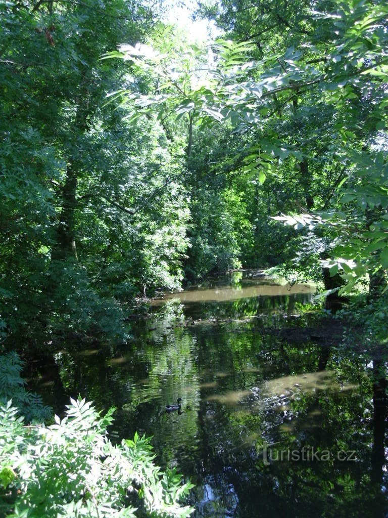 Chrudim - park strelišča