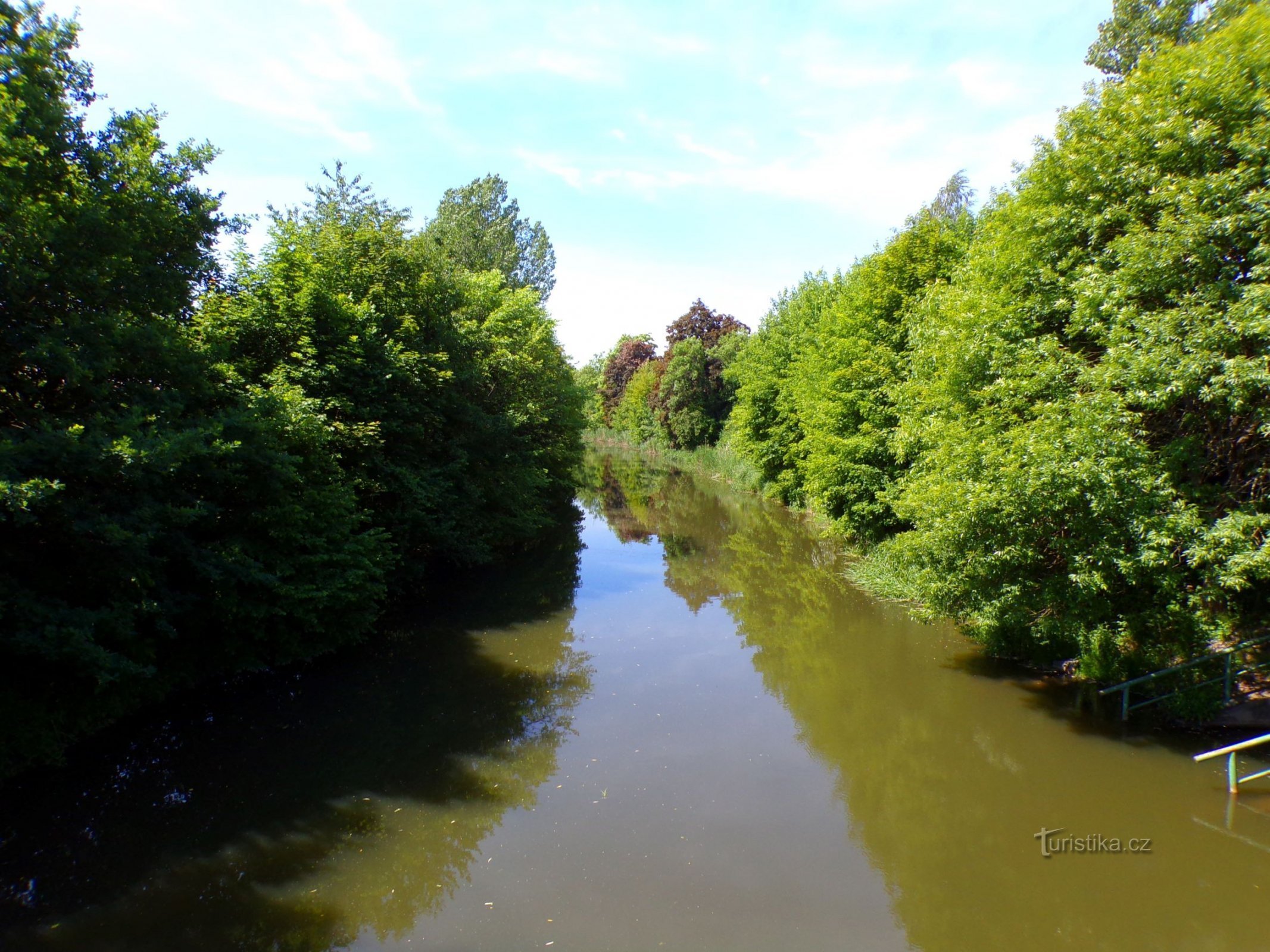 Cidlina pod Kladruby (Chlumec nad Cidlinou, ngày 5.6.2022 tháng XNUMX năm XNUMX)