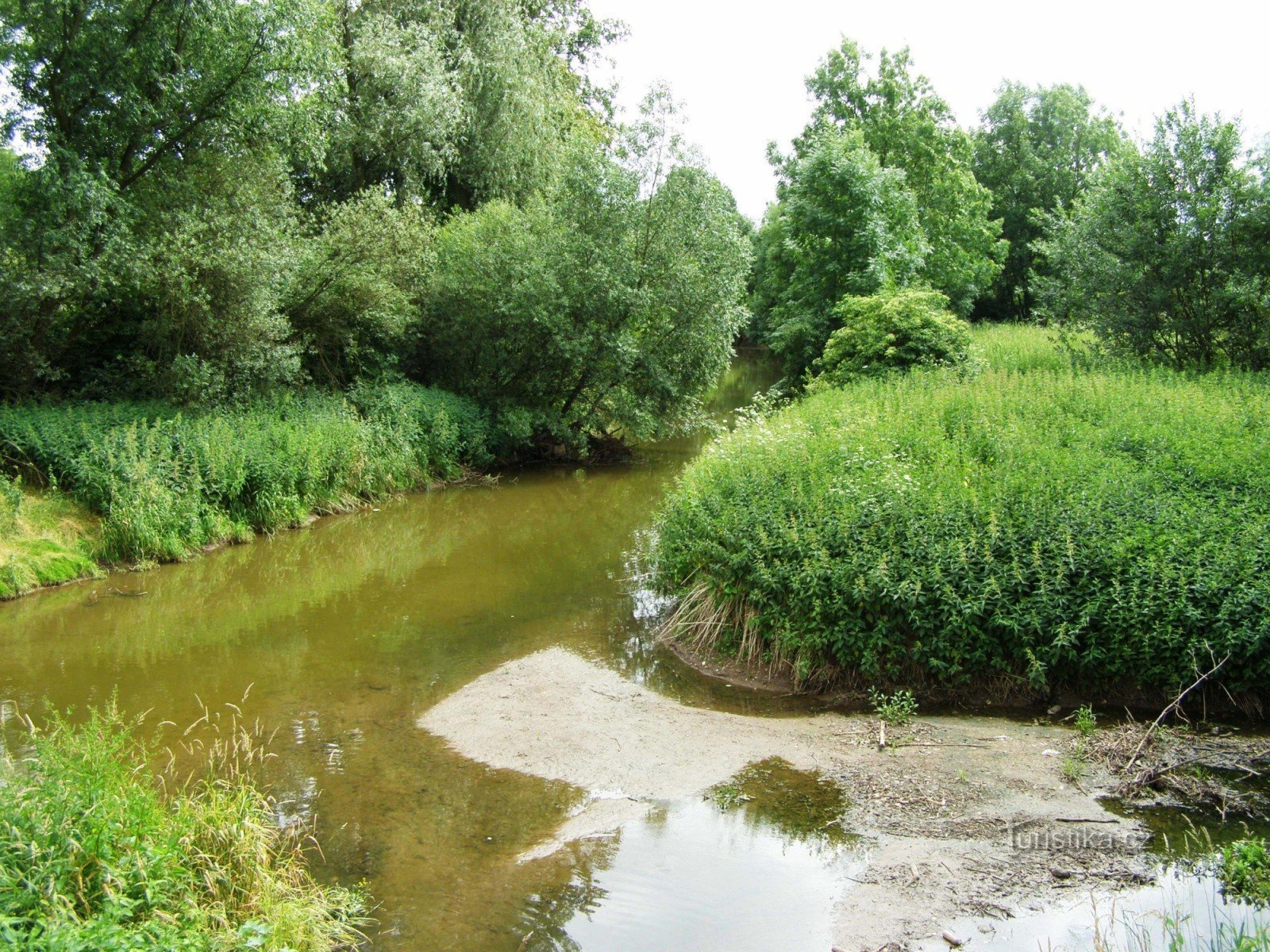 Cidlina under Vysoký Veselí