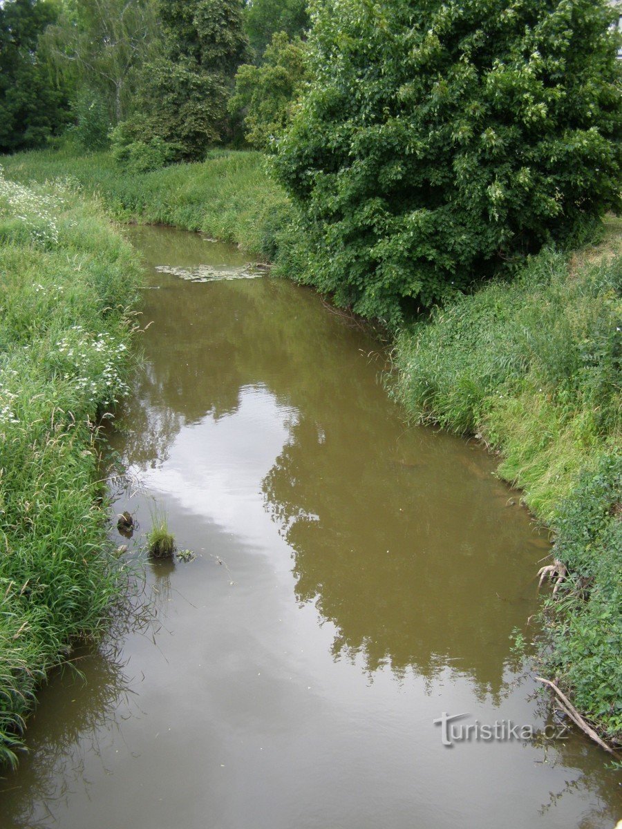 Cidlina under Vysoký Veselí