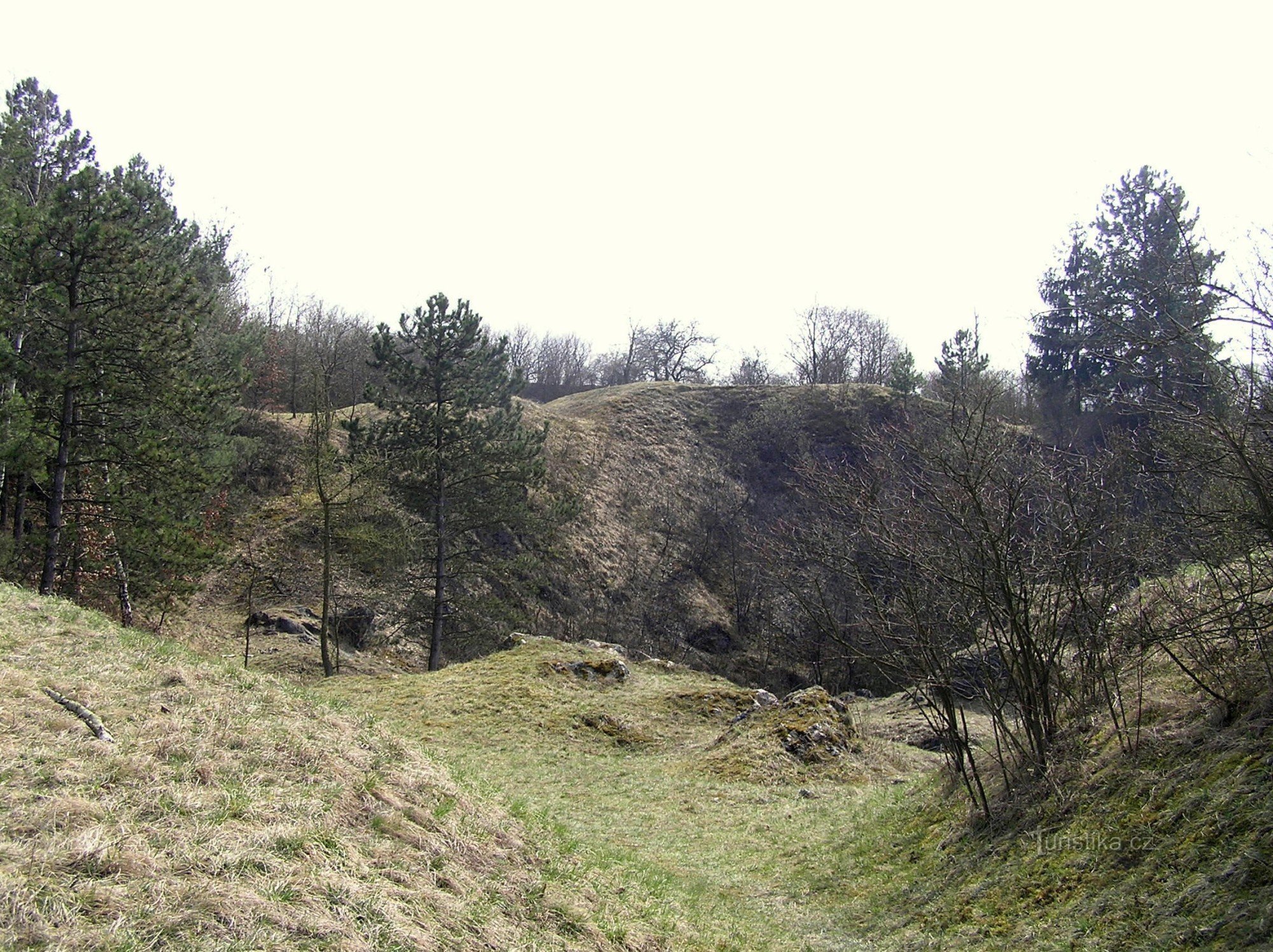 Zigeuner tegenslagen - de omgeving van de voormalige steengroeve (april 2011)