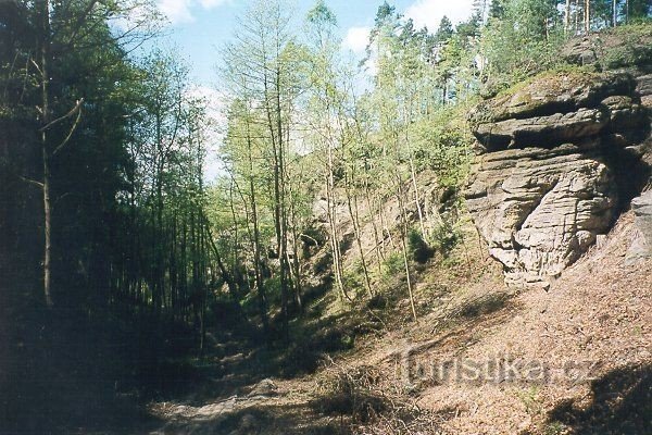 Sigøjnermine